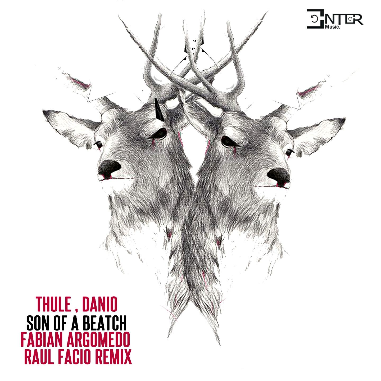 Thule & Danio - Mutran' Vizor (Raul Facio Remix)