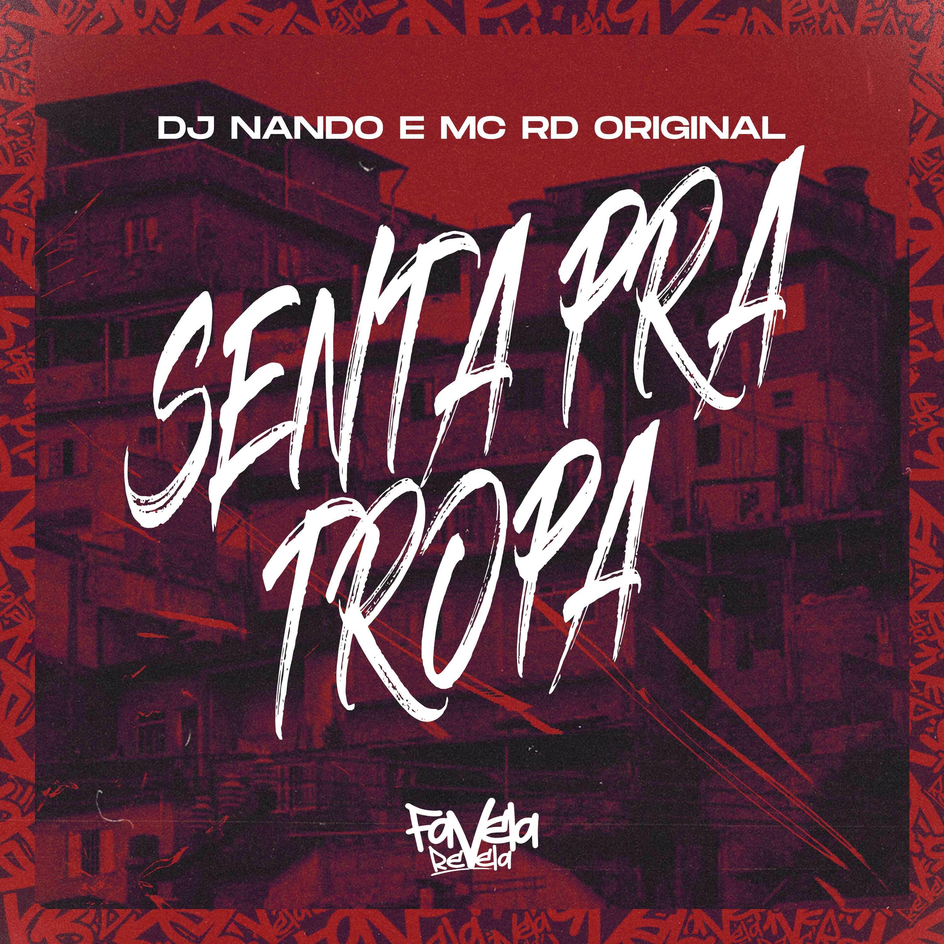 Постер альбома Senta pra Tropa