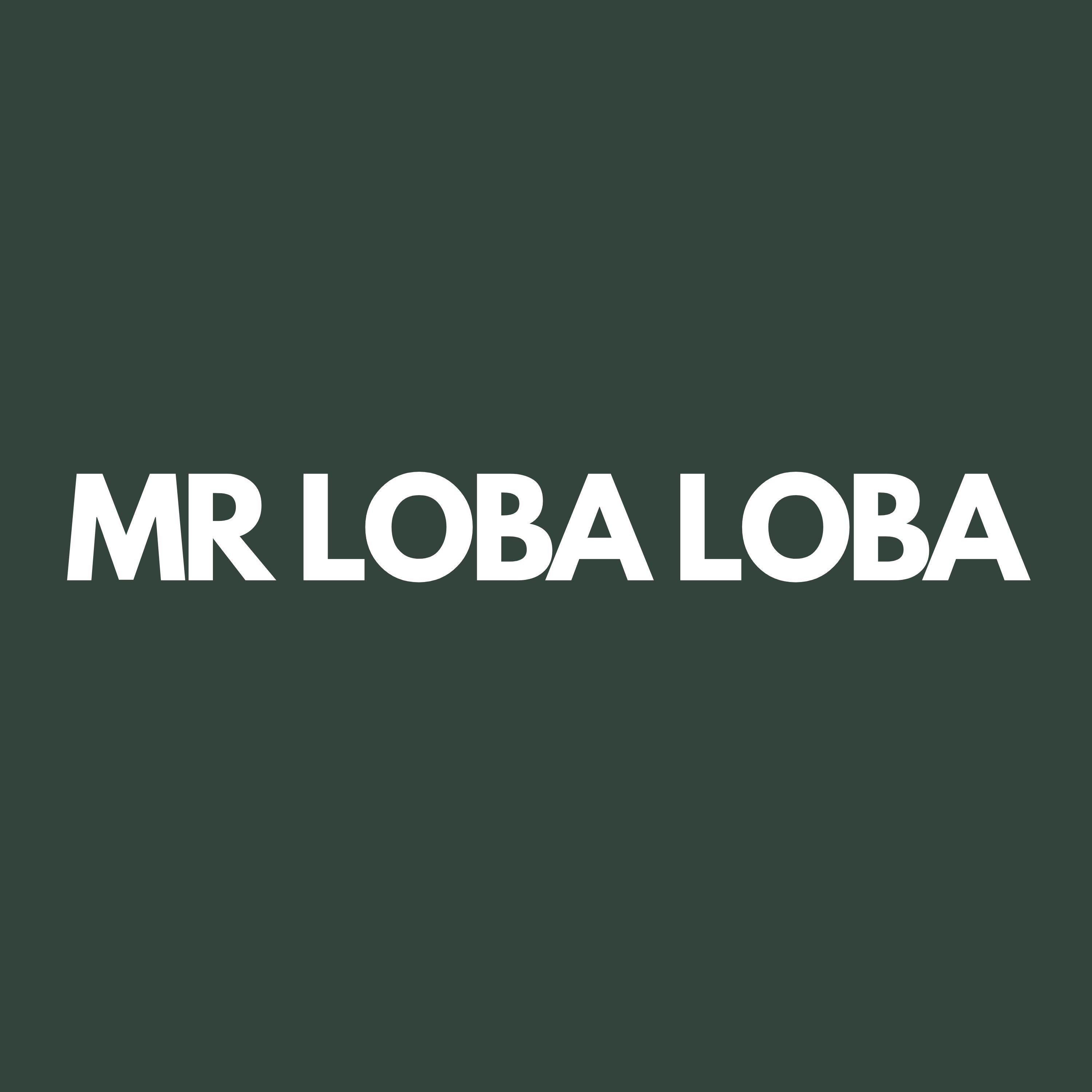 Постер альбома MR LOBA LOBA
