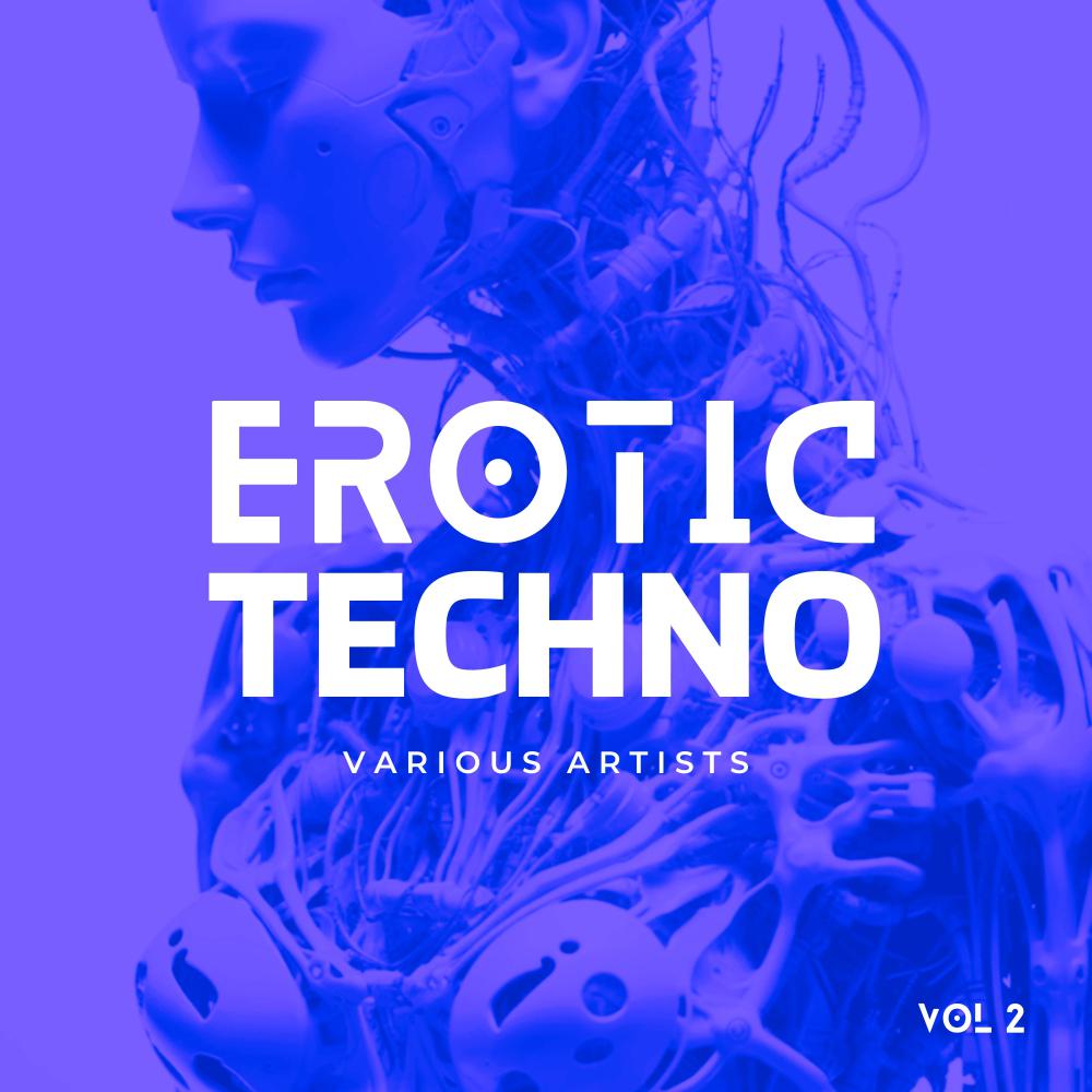 Постер альбома Erotic Techno, Vol. 2
