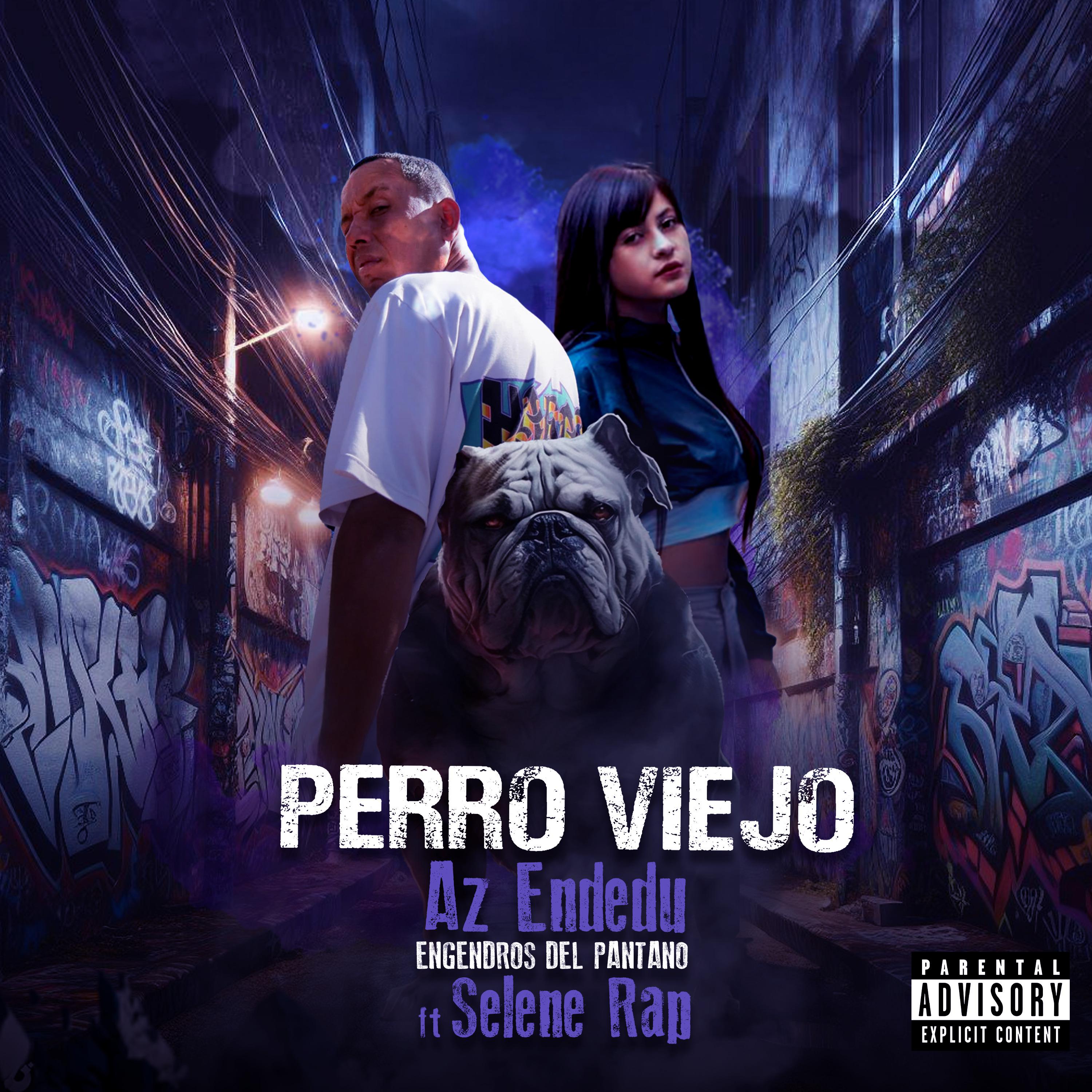 Постер альбома Perro Viejo