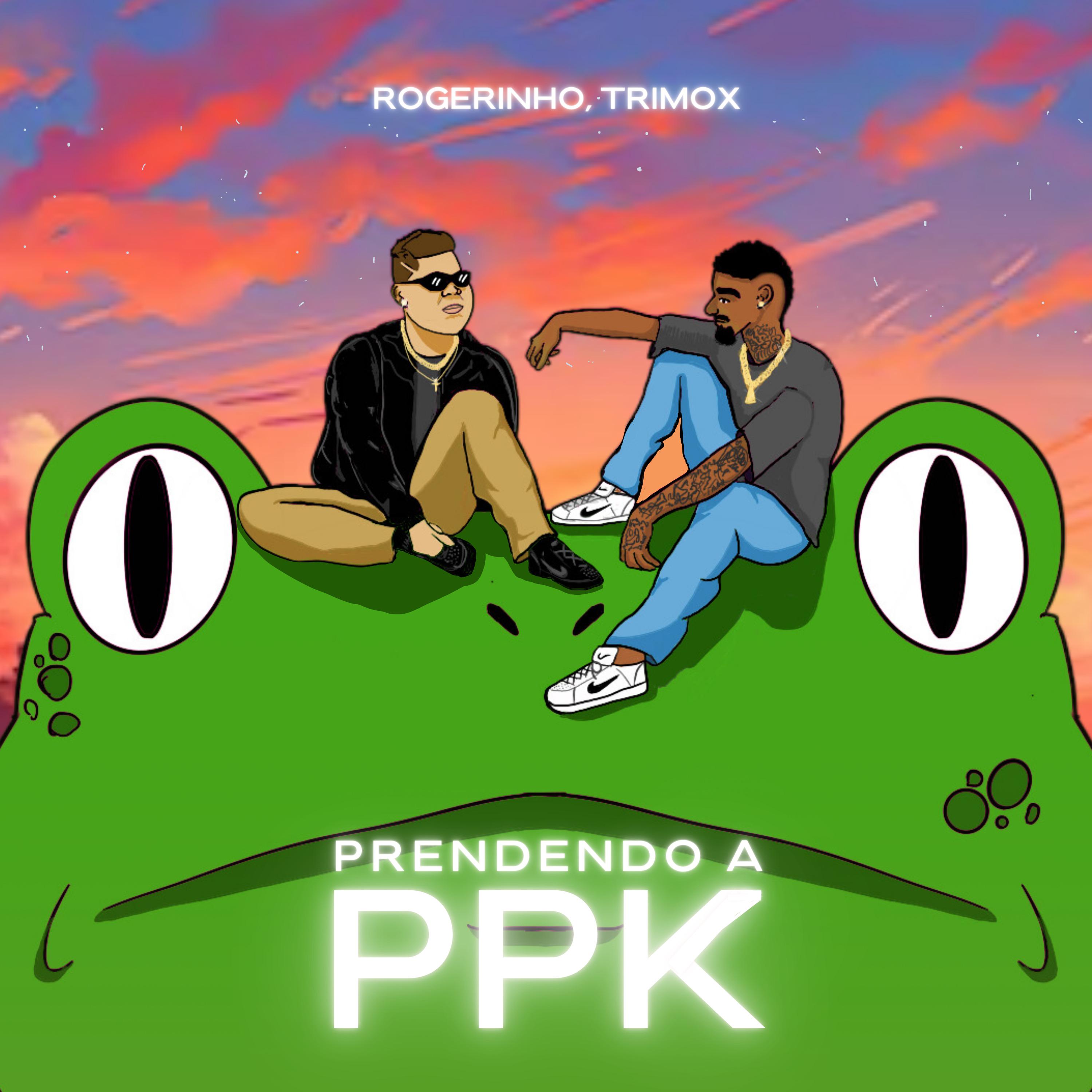 Постер альбома Prendendo a PPK