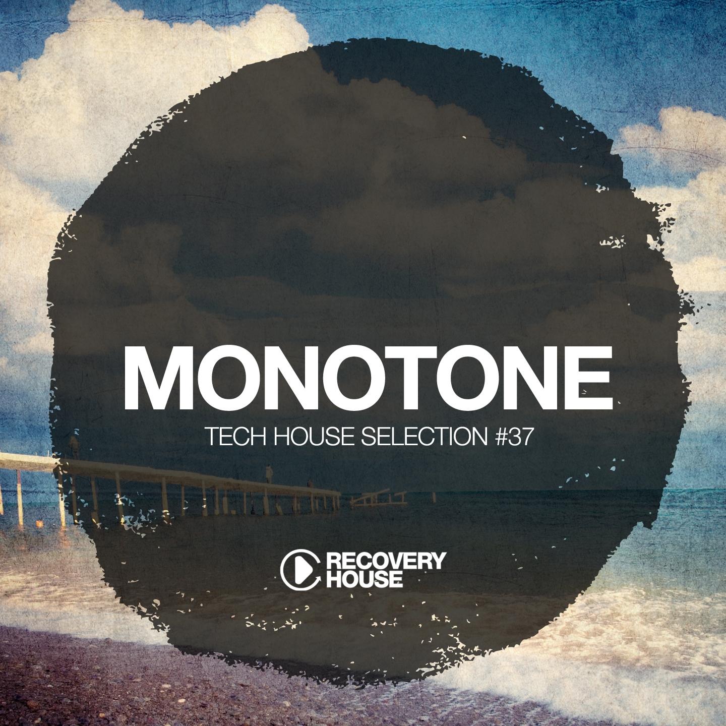 Постер альбома Monotone, Vol. 37 - Tech House Selection