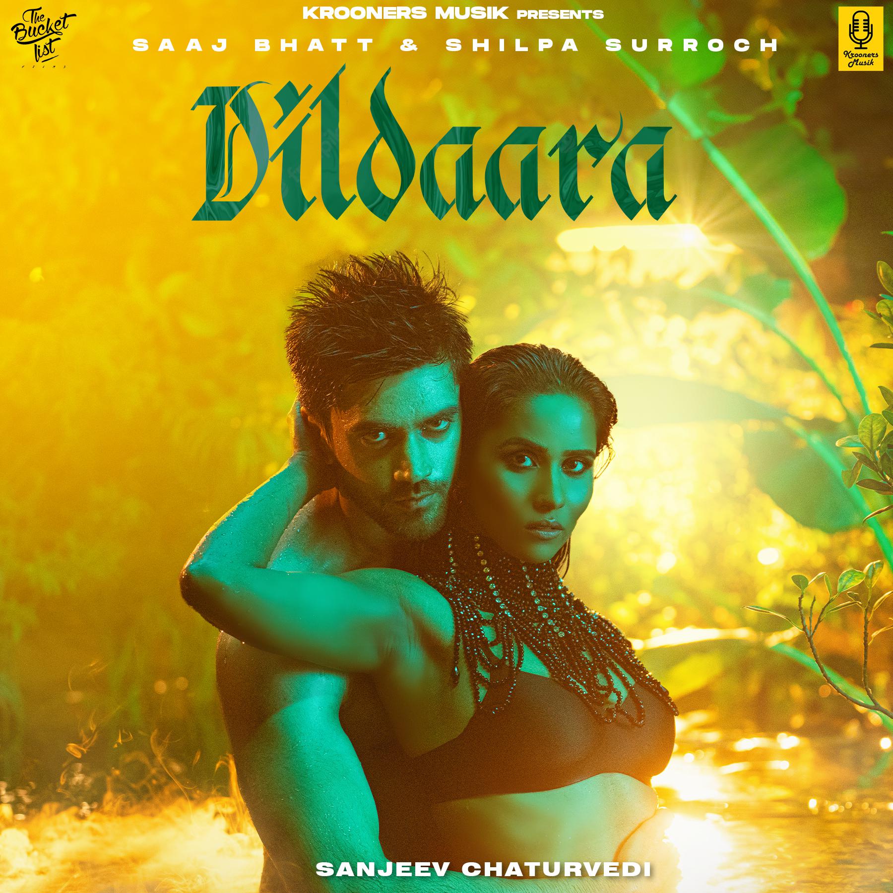 Постер альбома Dildaara