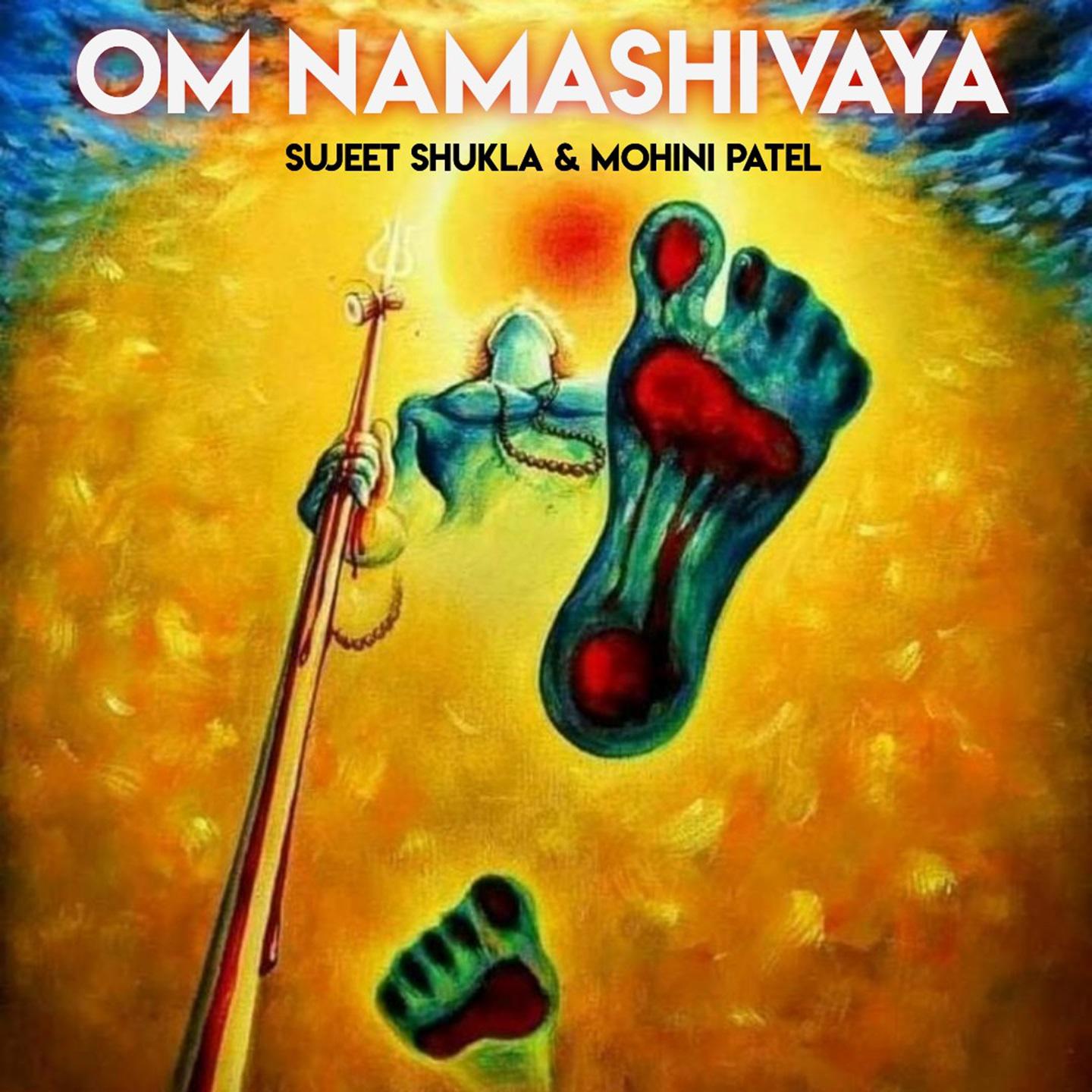Постер альбома Om Namah Shivaya