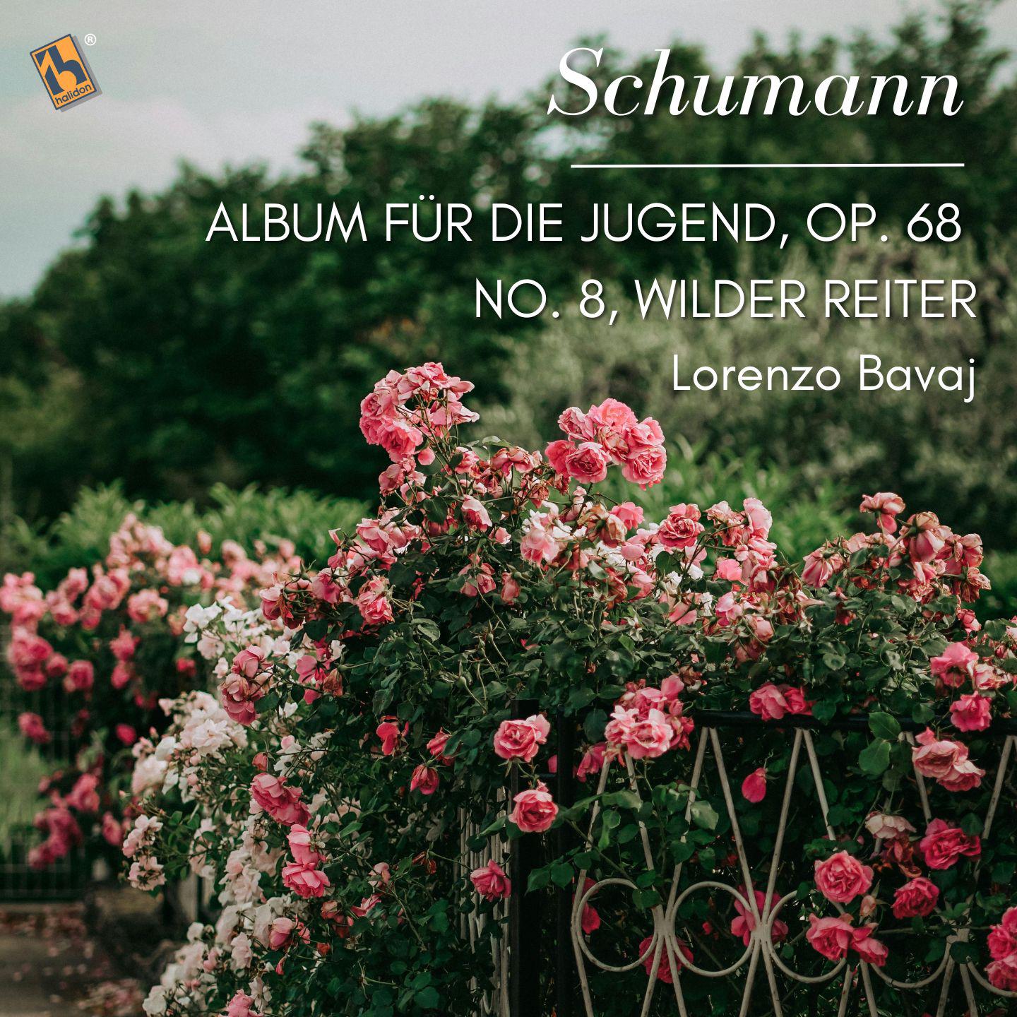 Постер альбома Schumann: Album für die Jugend, Op. 68: No. 8, Wilder Reiter