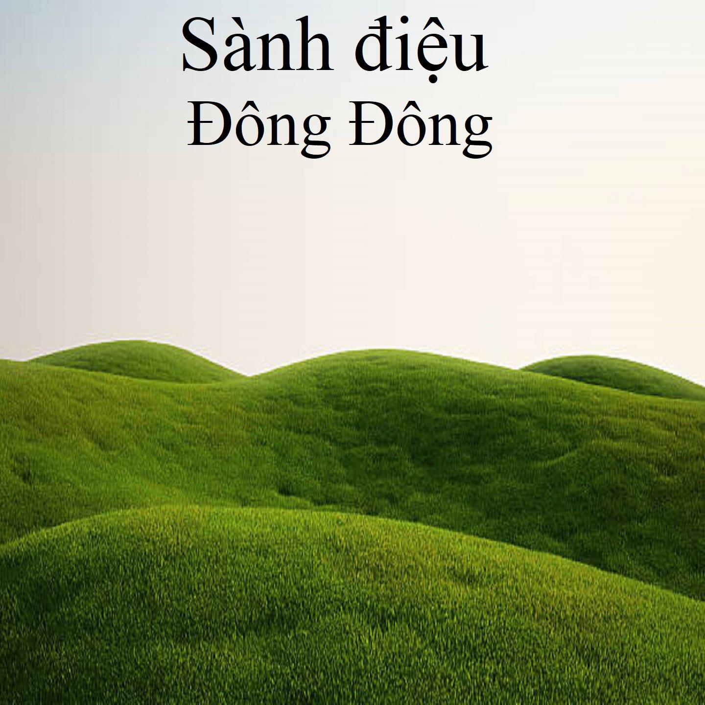 Постер альбома Sành điệu