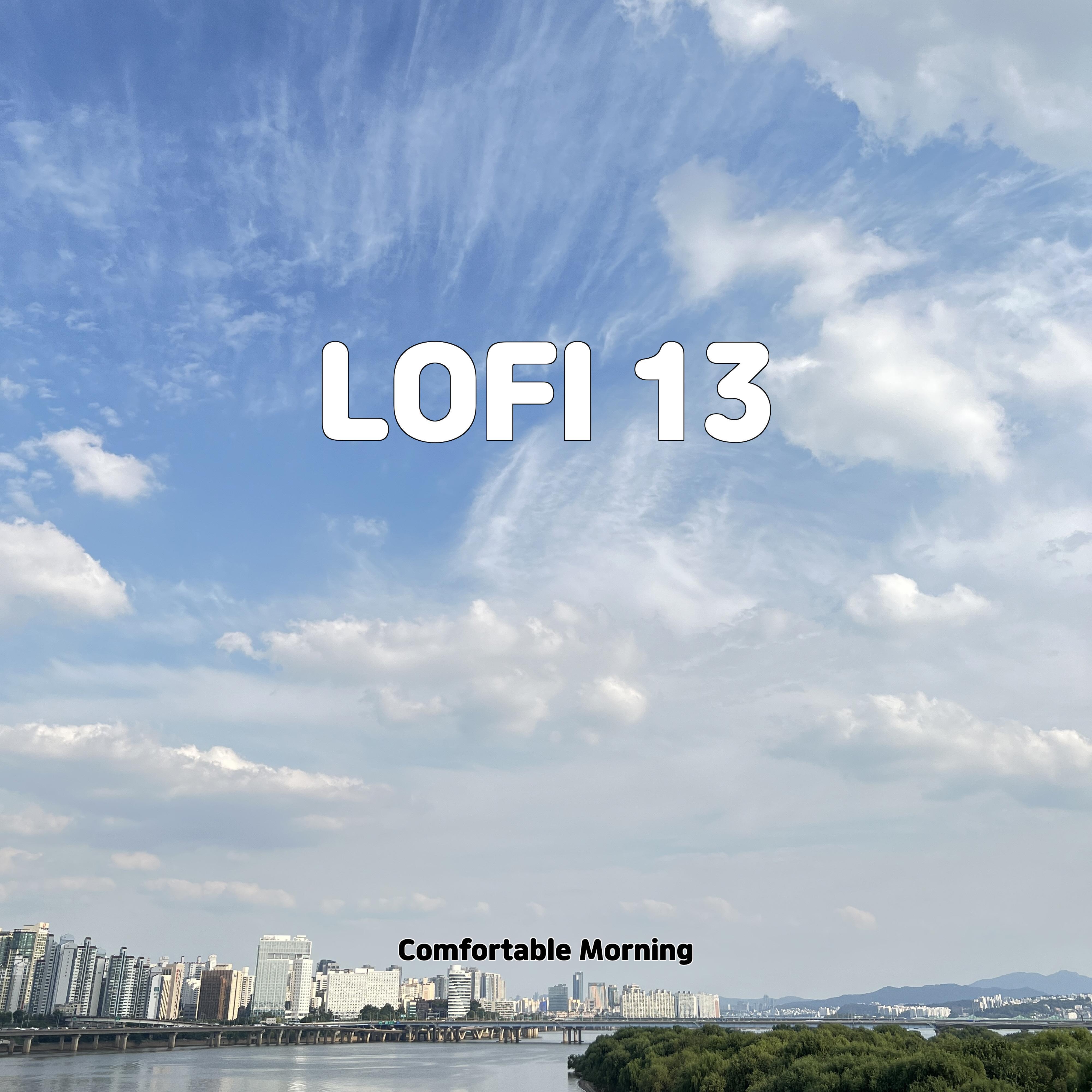 Постер альбома LOFI 13