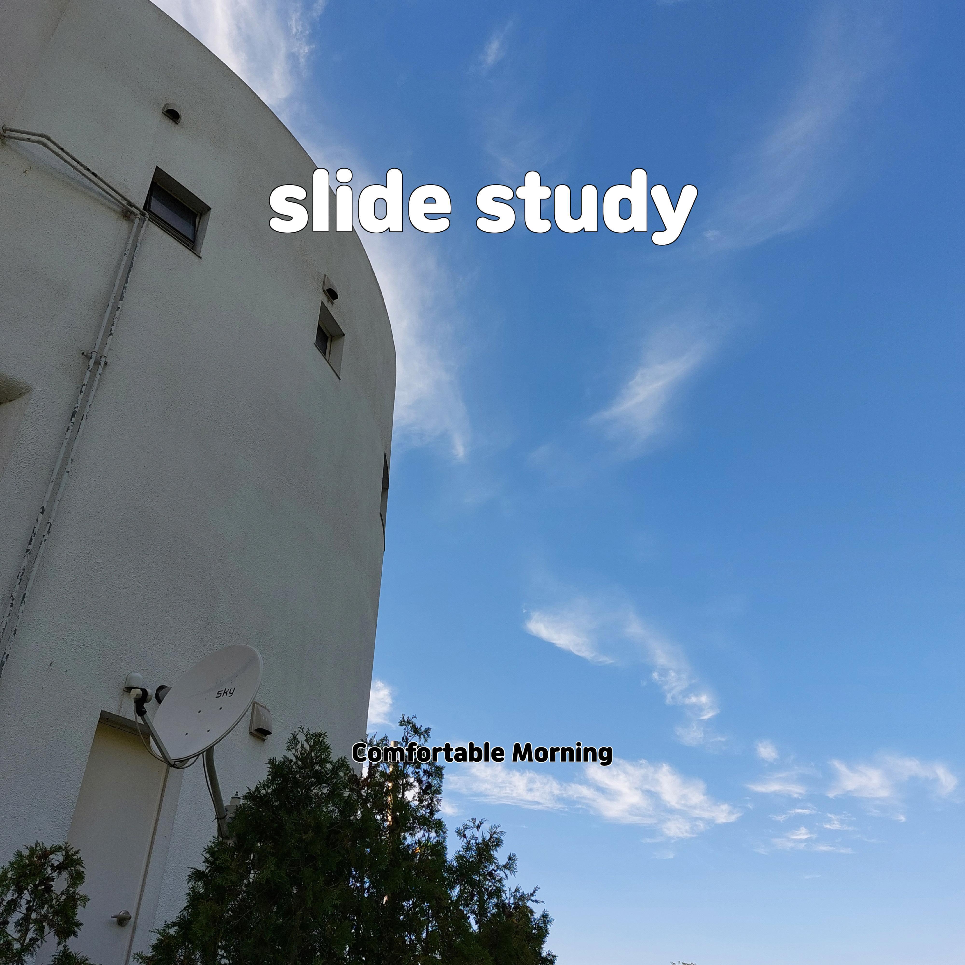 Постер альбома slide study
