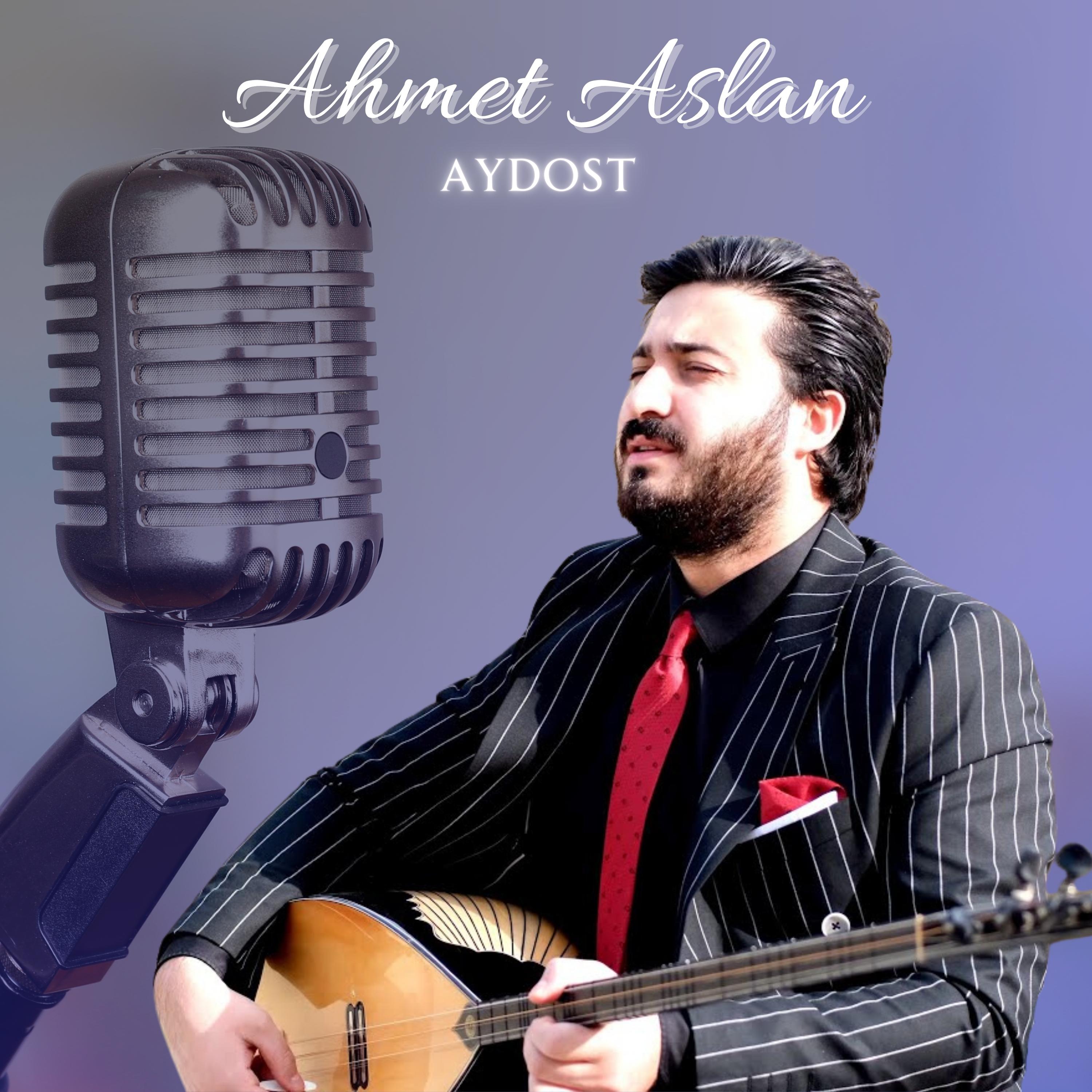 Постер альбома Aydost