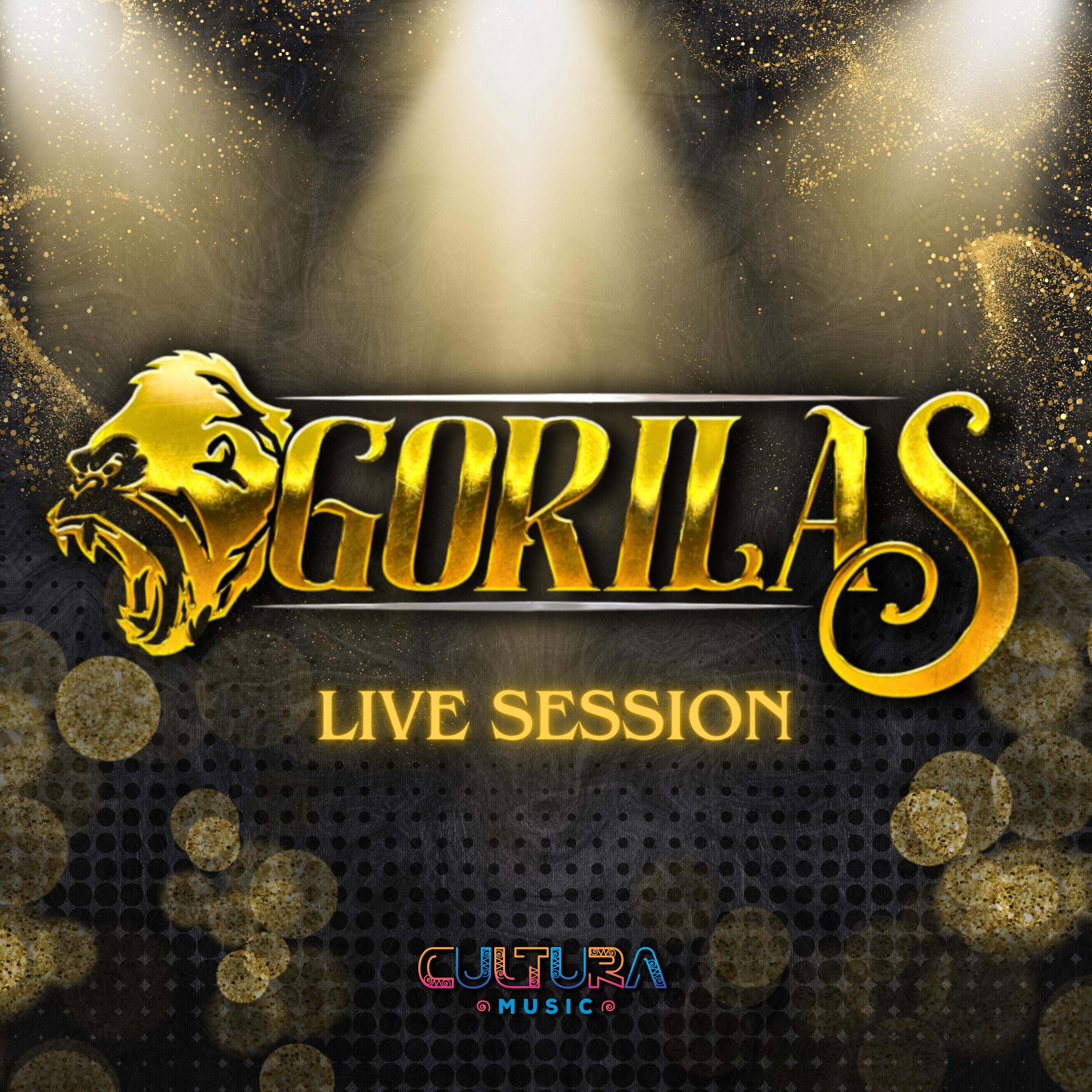 Постер альбома GORILAS LIVE SESSION 2024