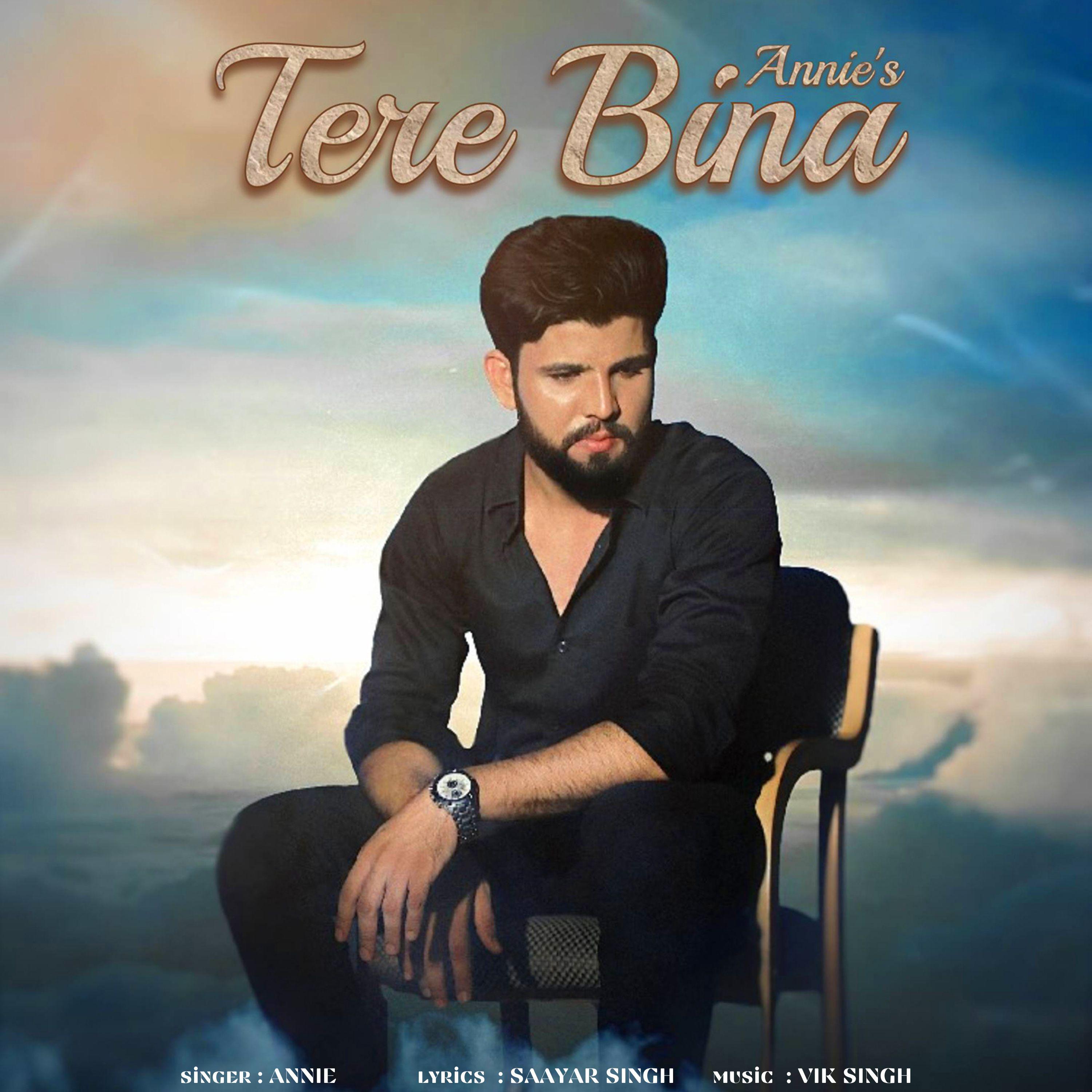 Постер альбома Tere Bina