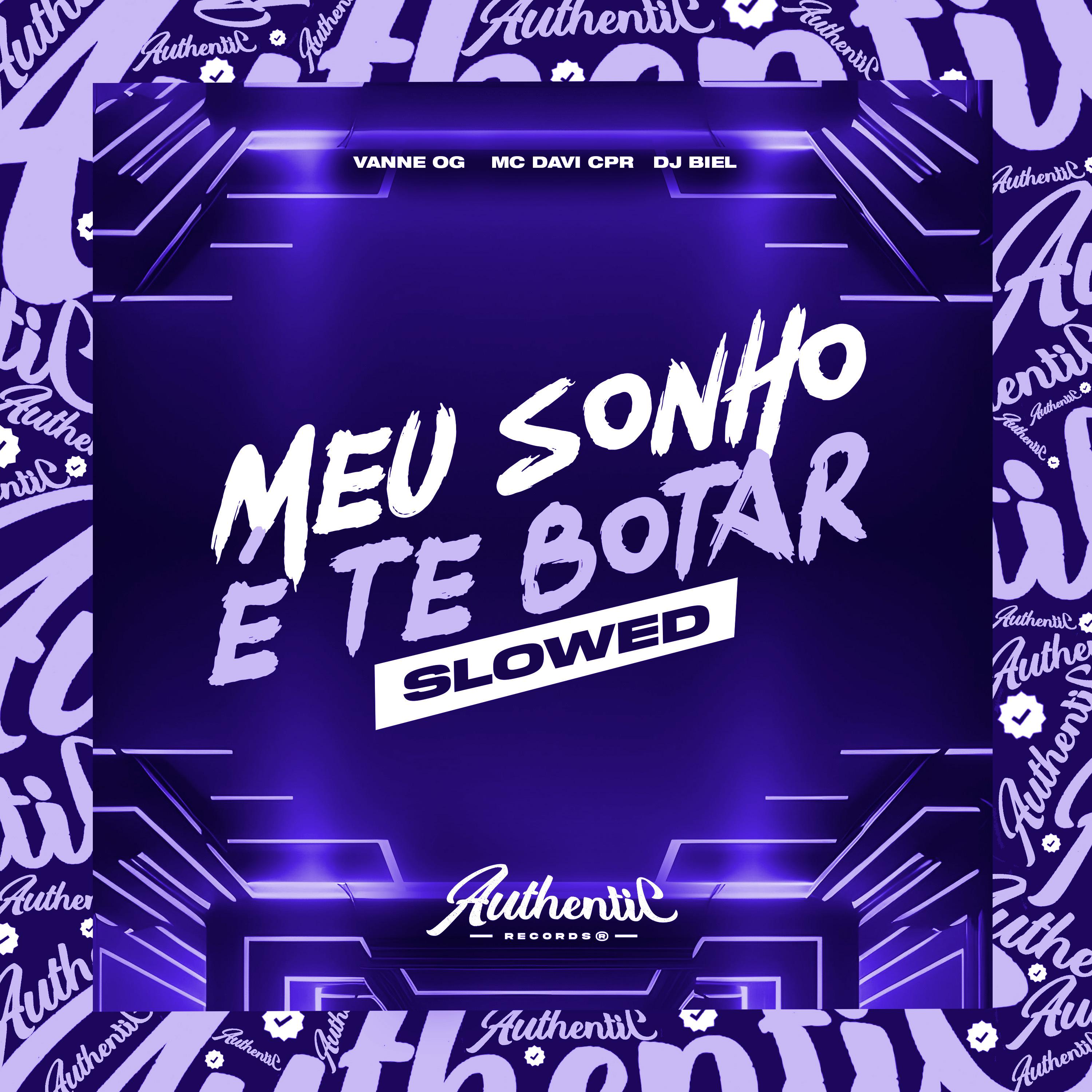 Постер альбома Meu Sonho É Te Botar - Slowed