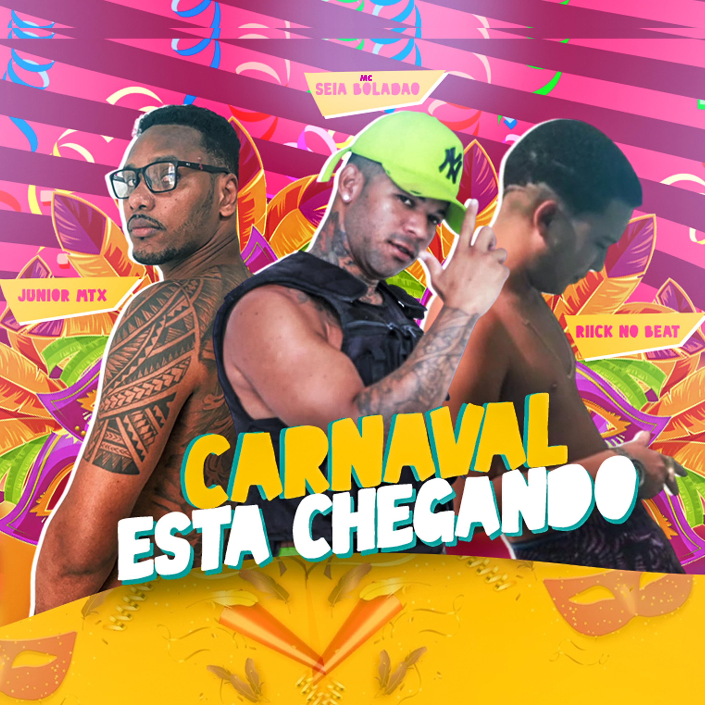 Постер альбома Carnaval Esta Chegando