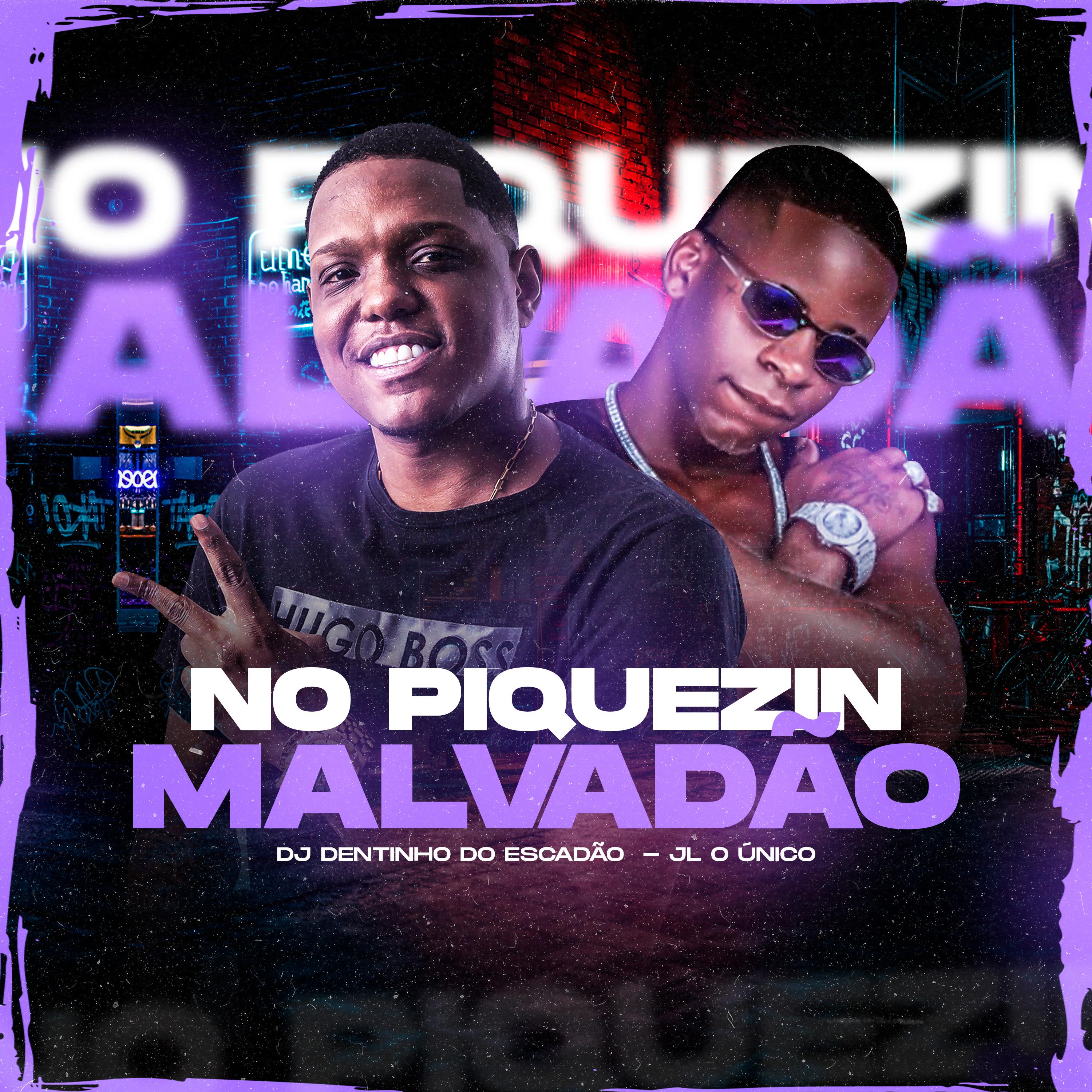 Постер альбома Piquezin Malvadão