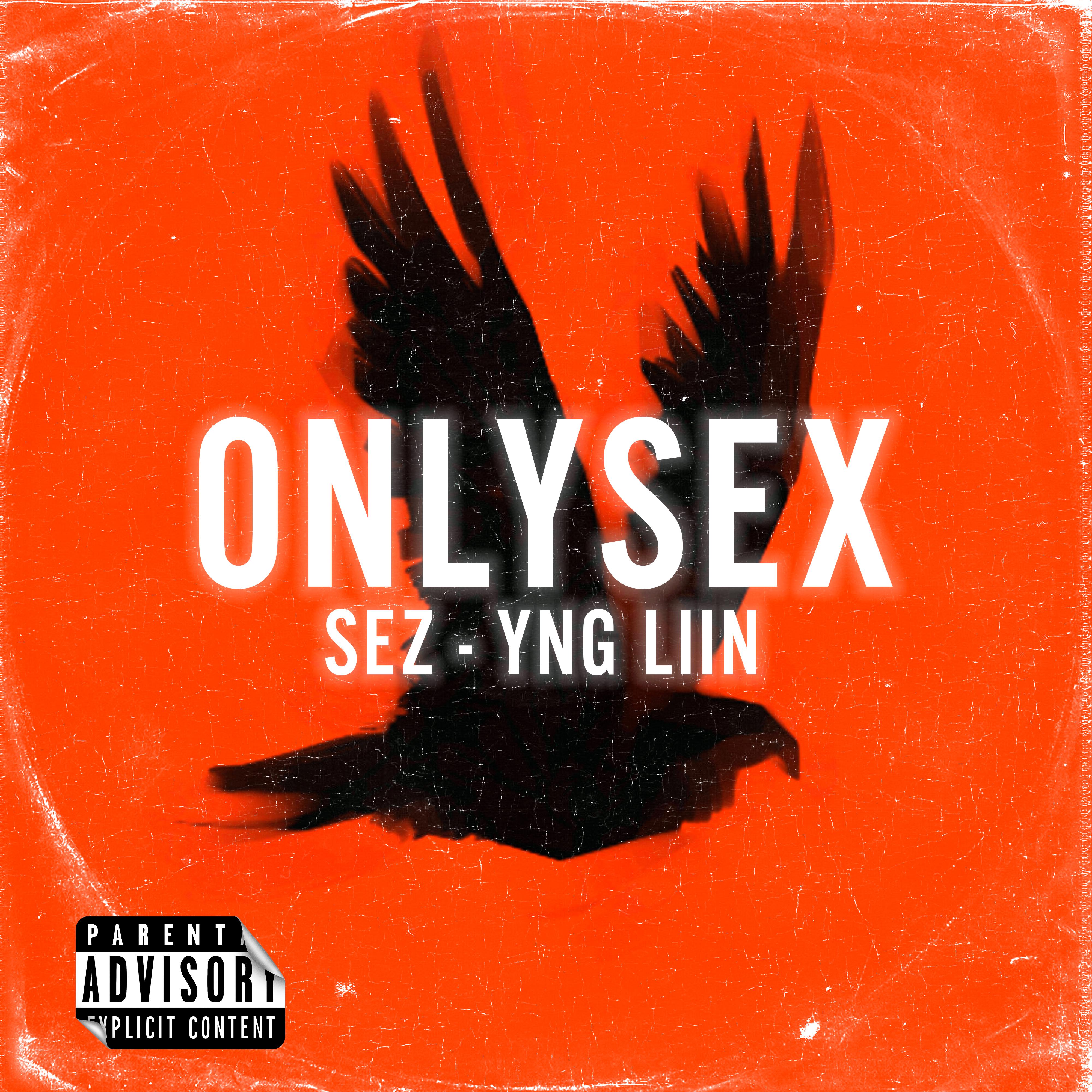 Постер альбома Onlysex