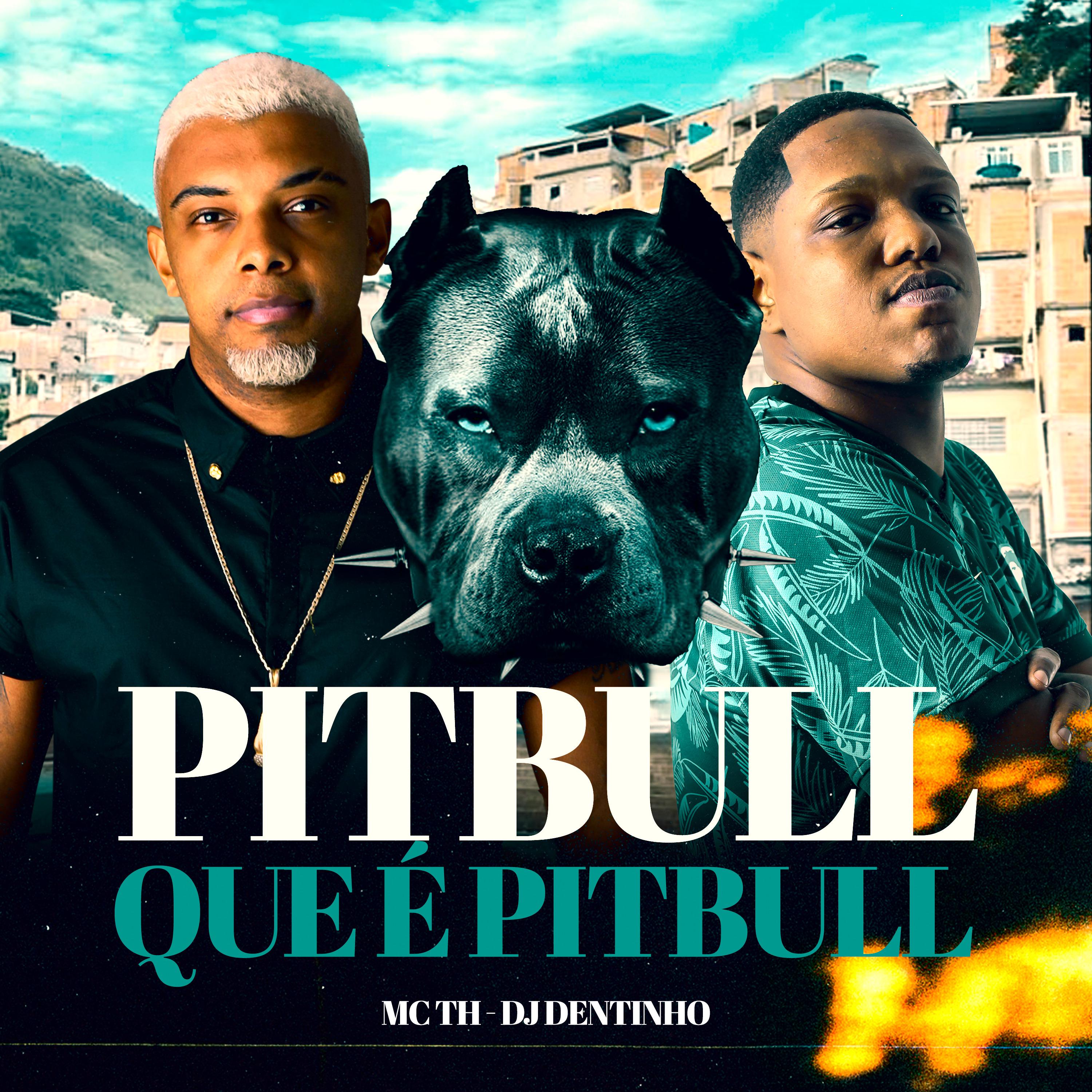 Постер альбома Pitbull Que É Pitbull