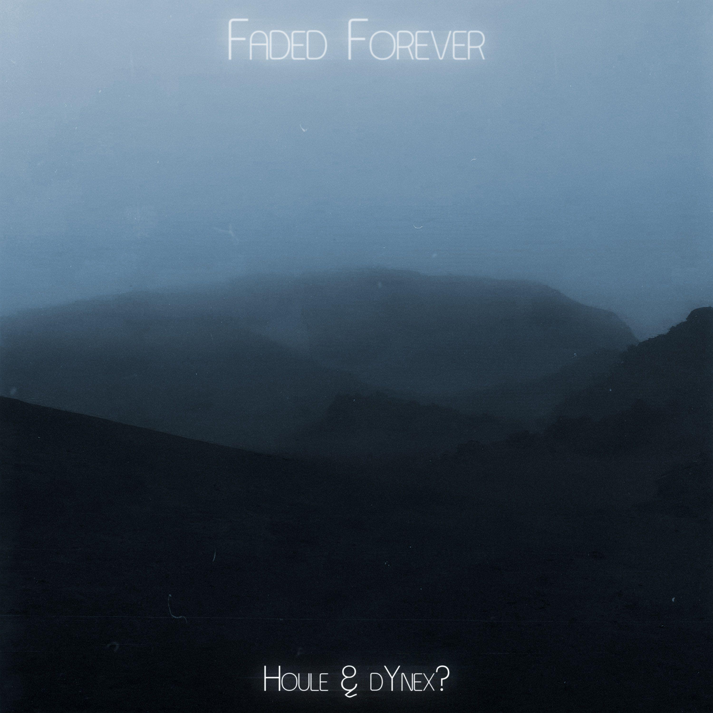 Постер альбома Faded Forever