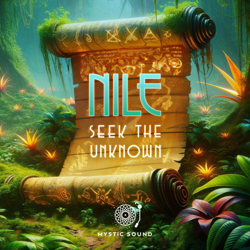 Постер альбома Seek The Unknown
