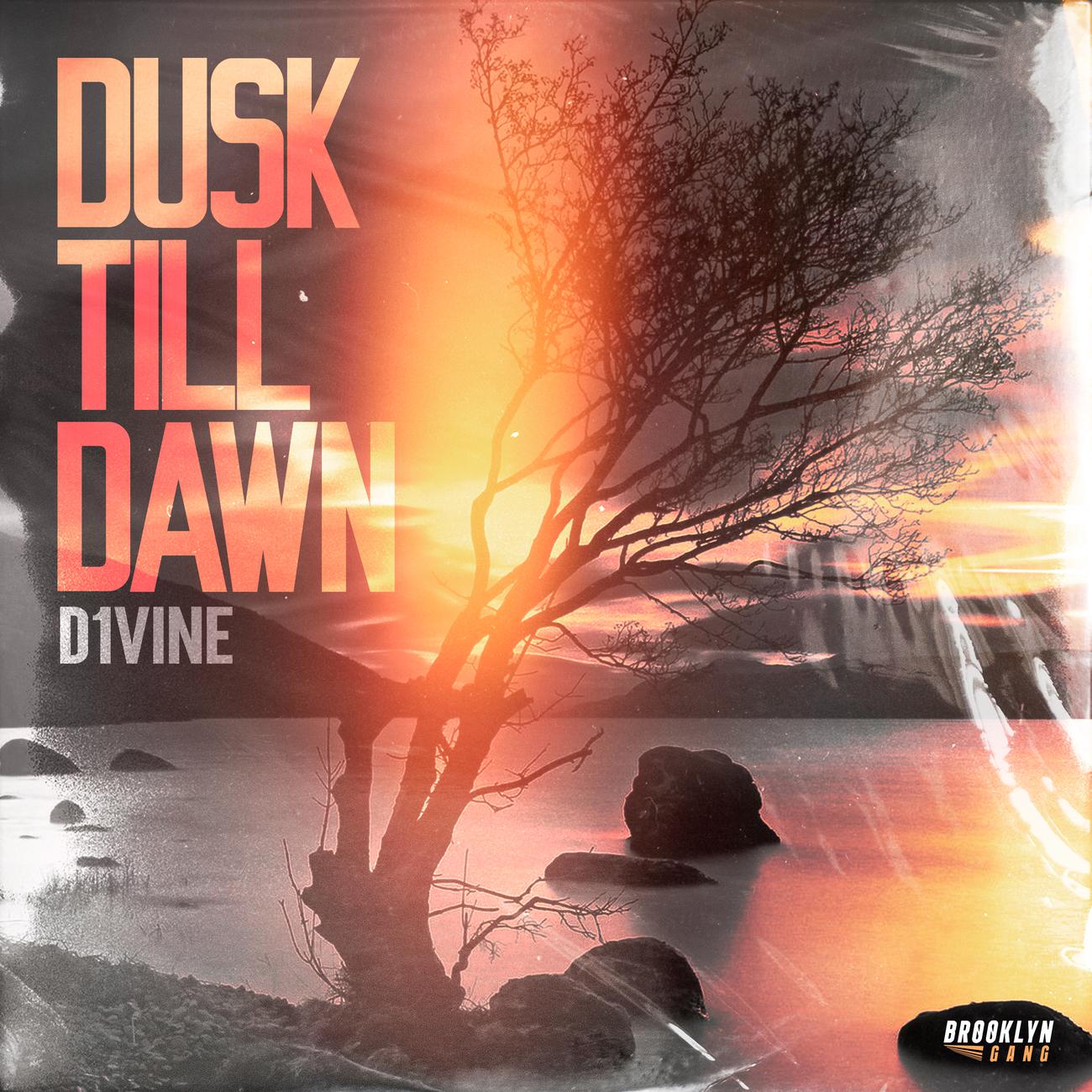 Постер альбома Dusk till Dawn