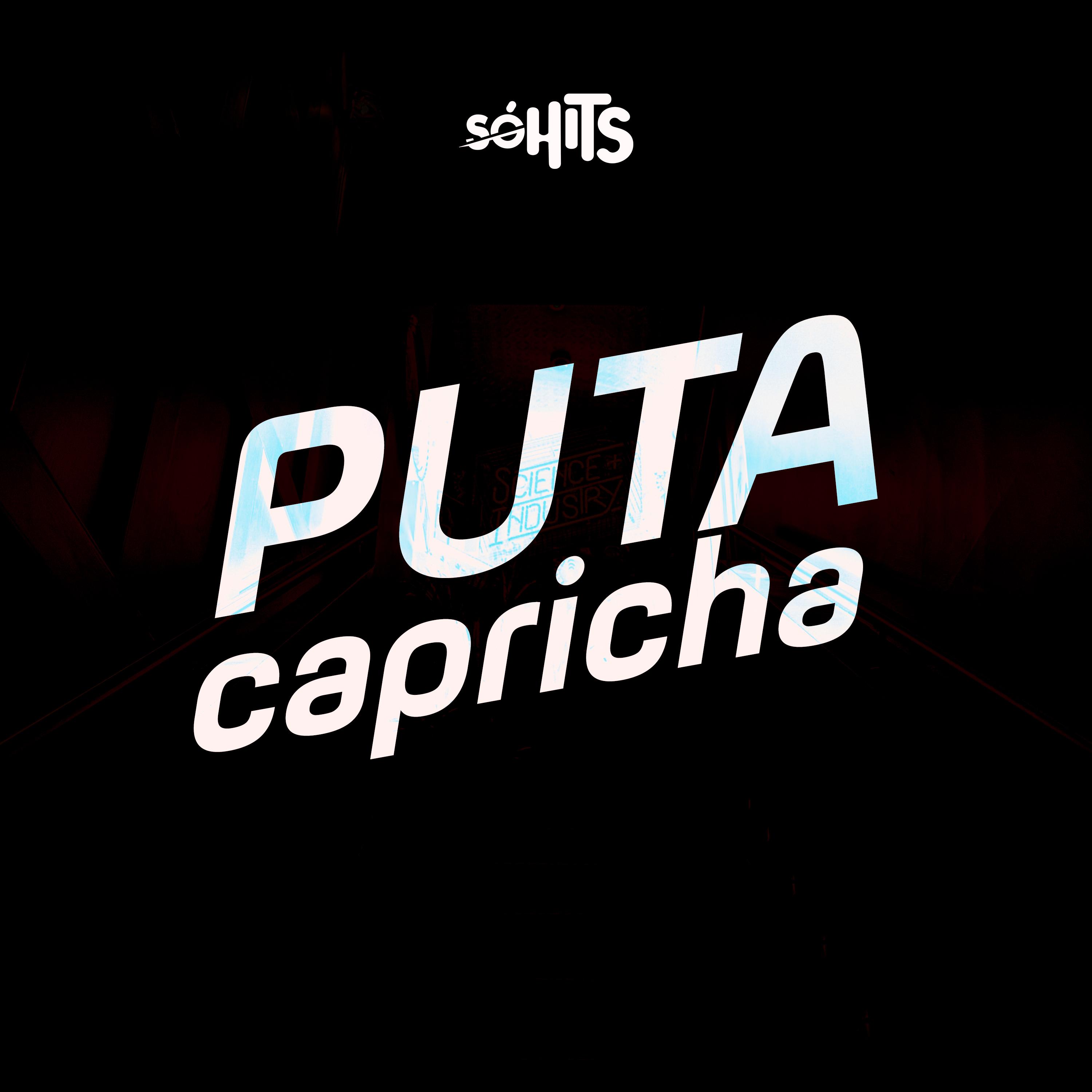 Постер альбома Puta Capricha
