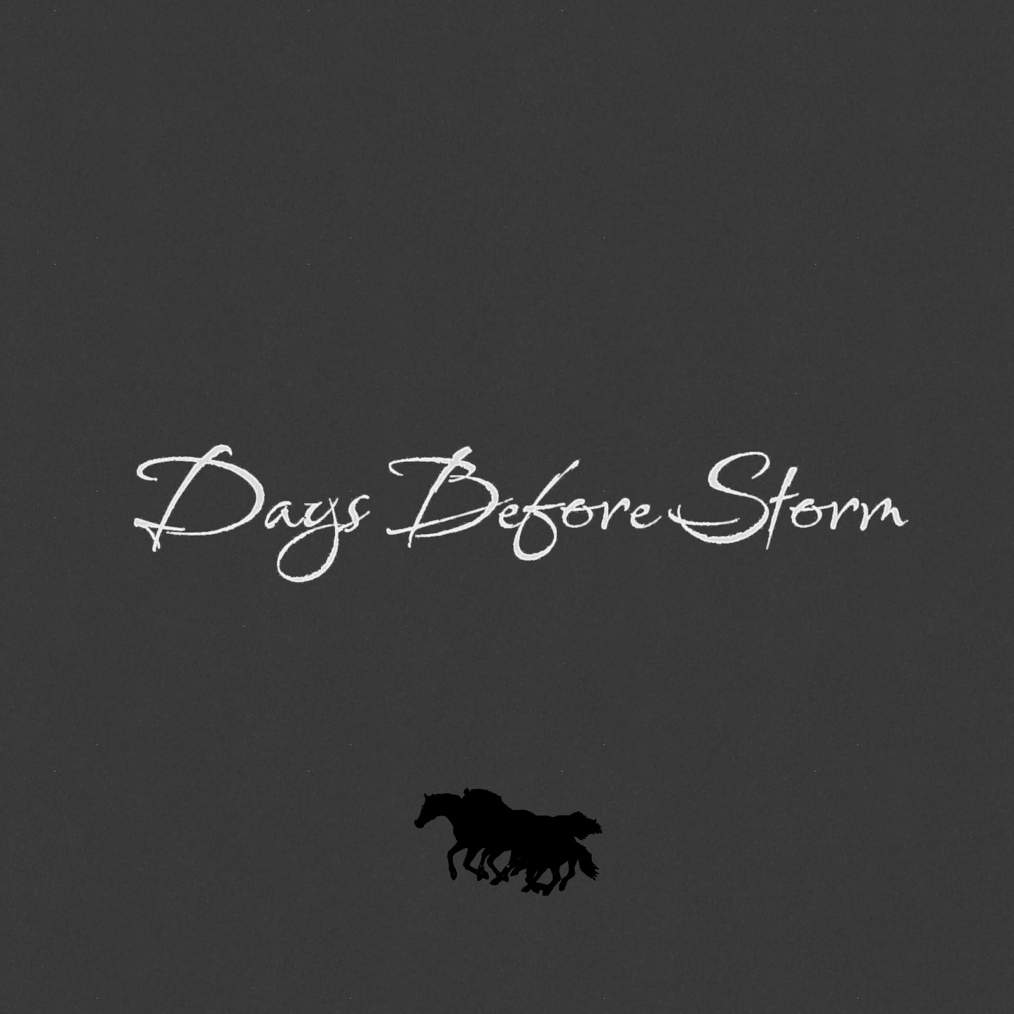 Постер альбома Days Before the Storm