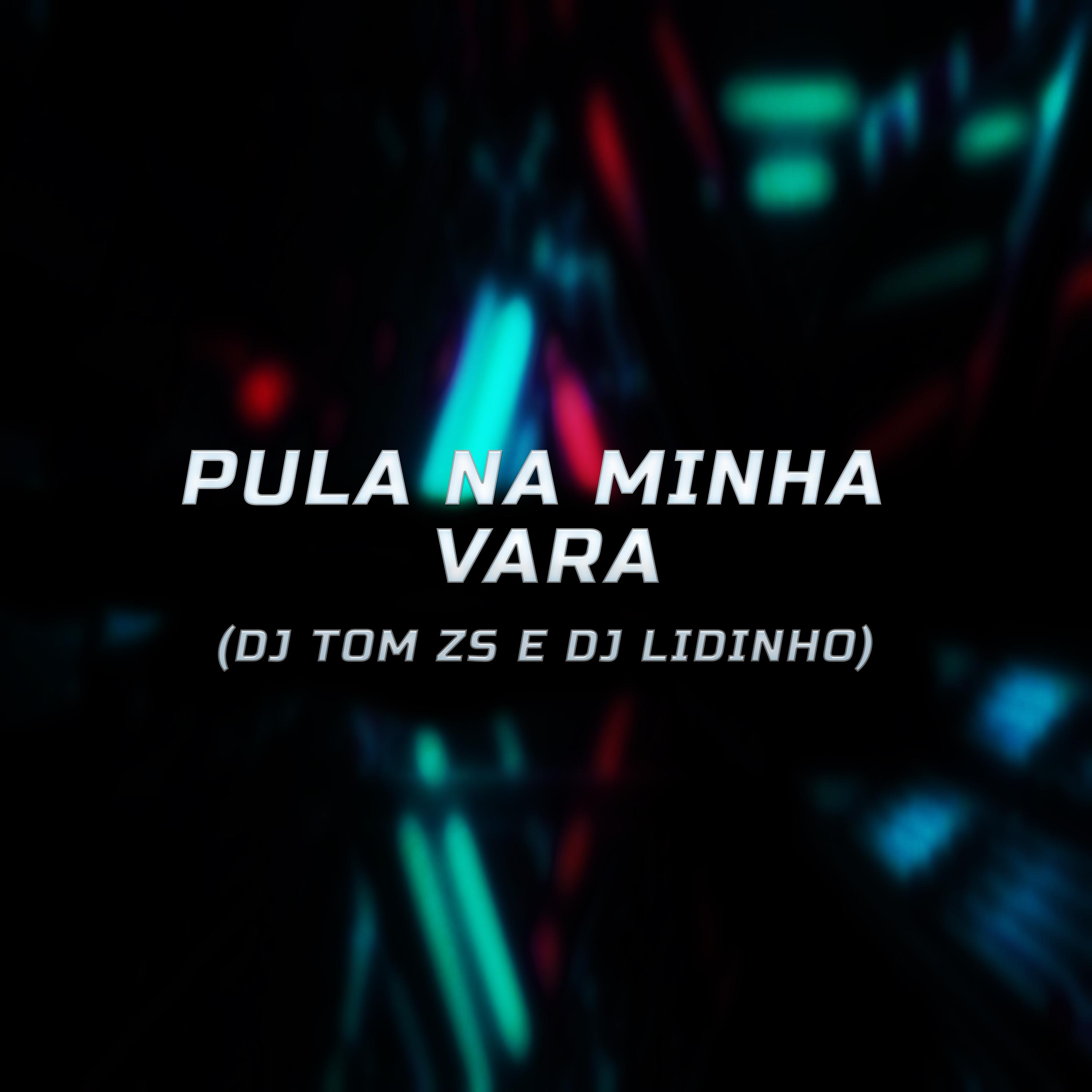 Постер альбома Pula na Minha Vara