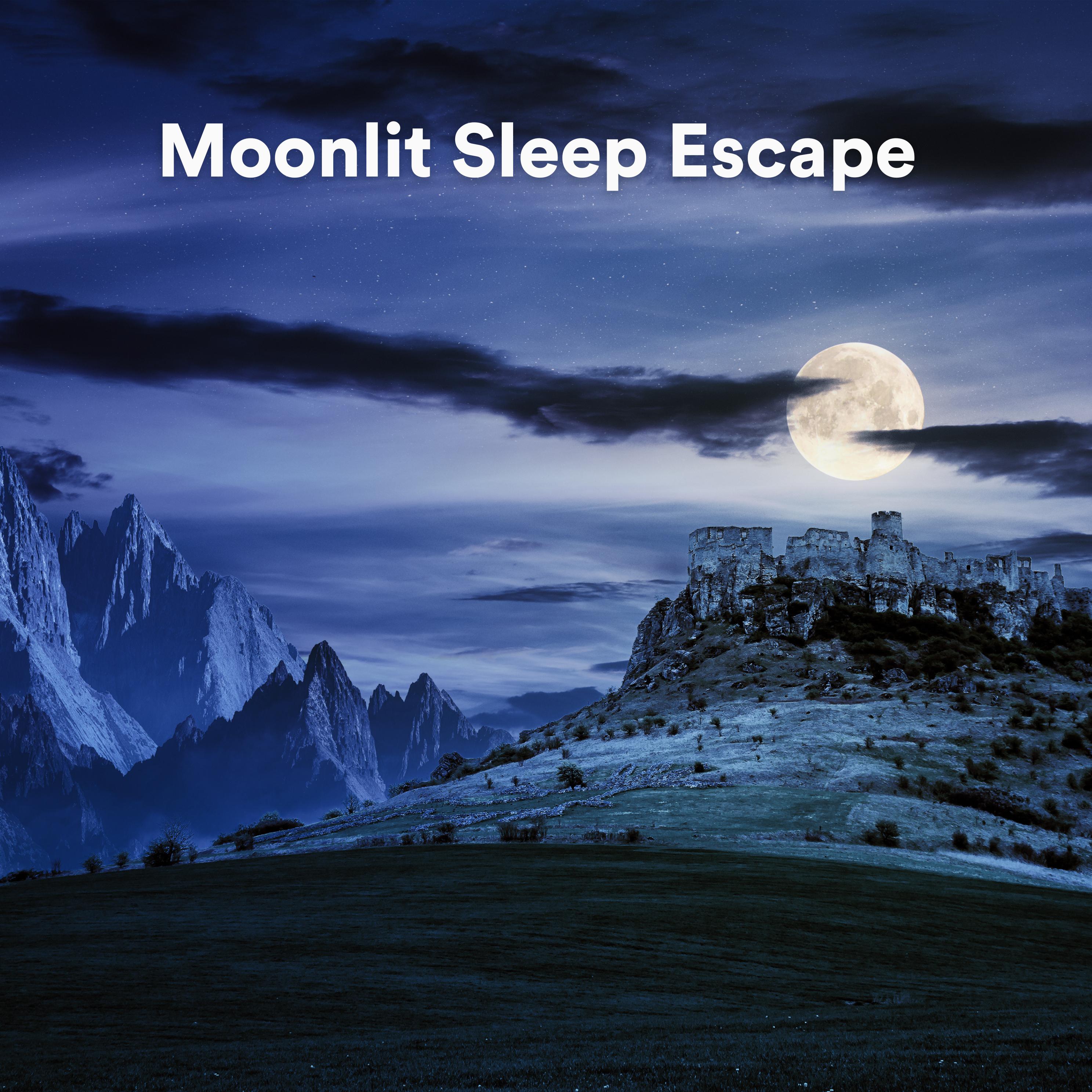 Постер альбома Moonlit Sleep Escape