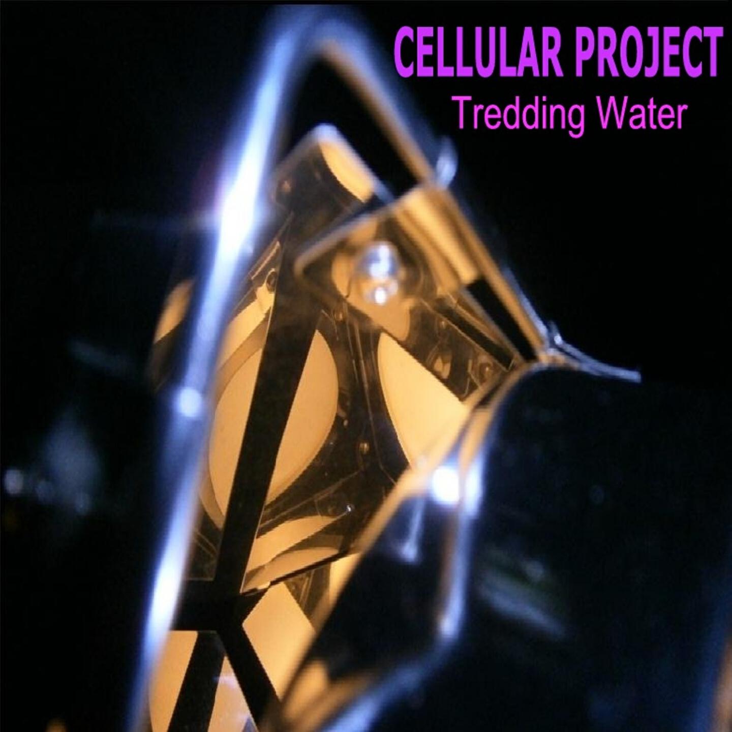 Cellular Project - Angel Girl