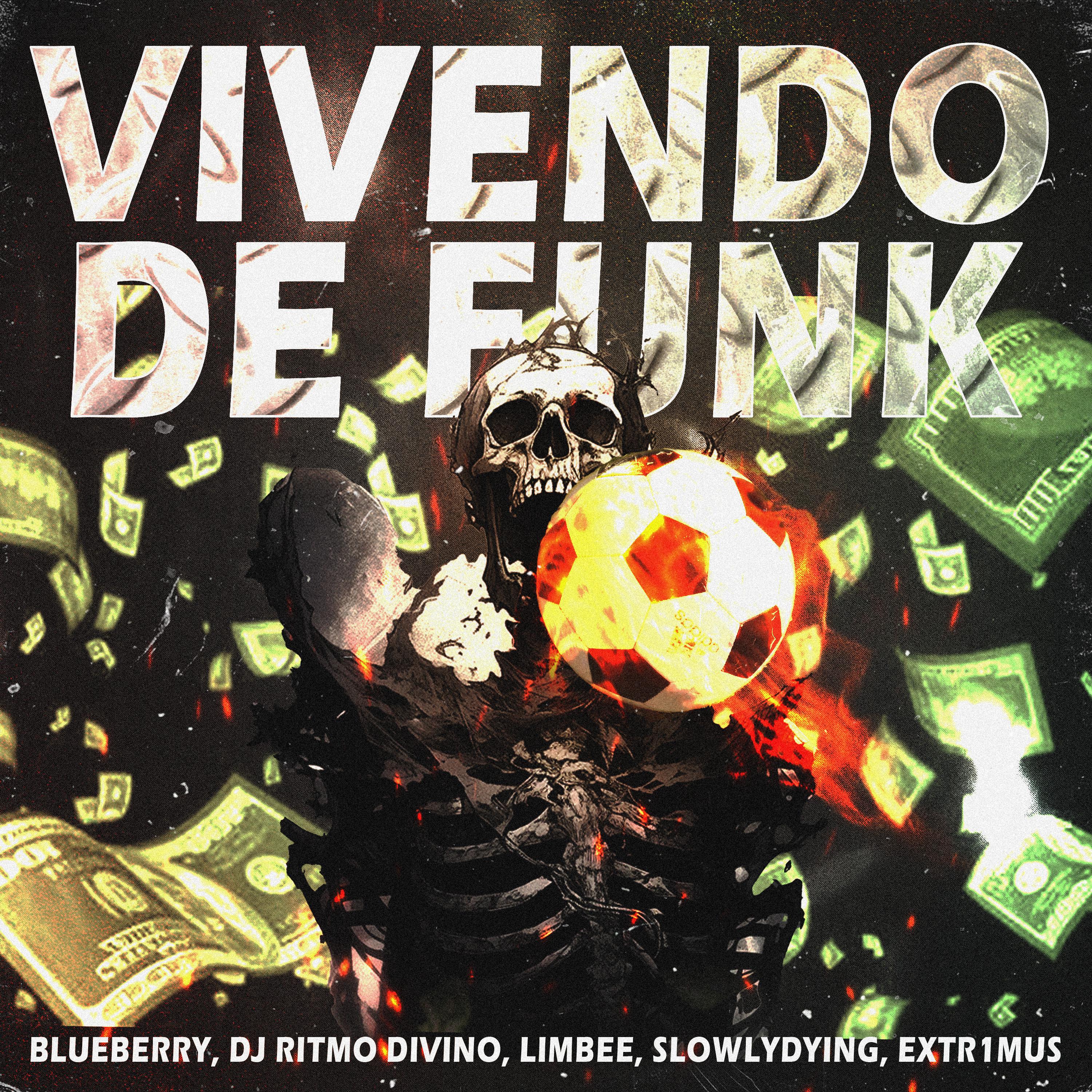 Постер альбома VIVENDO DE FUNK