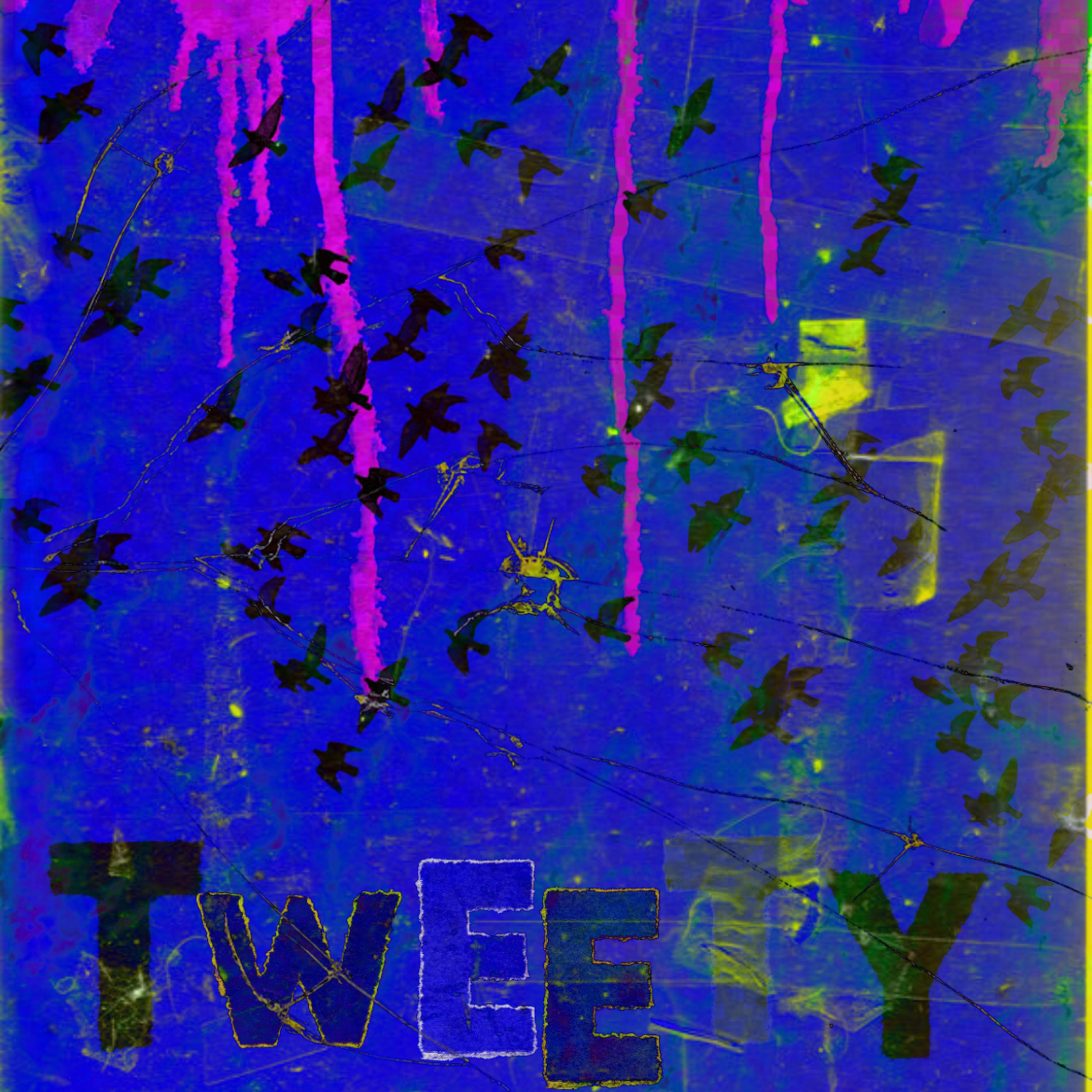 Постер альбома Tweety