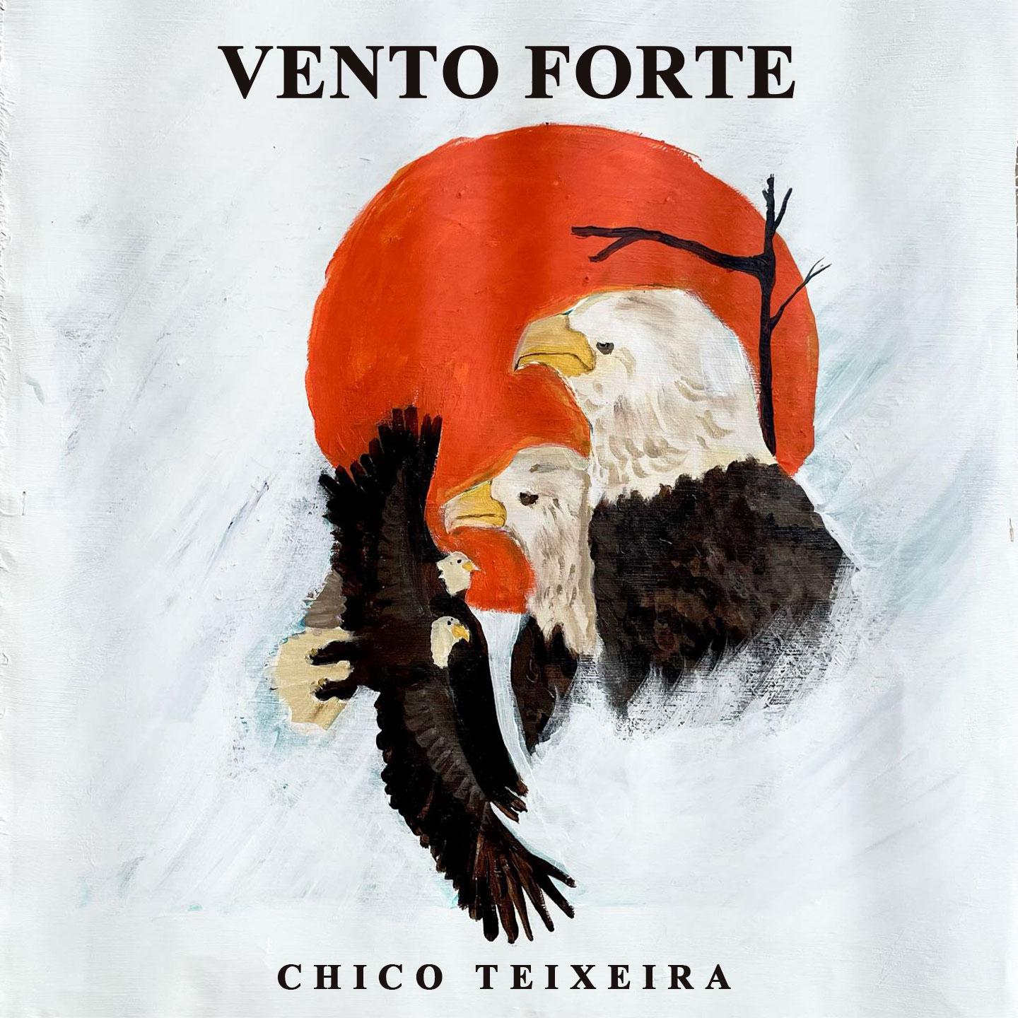 Постер альбома Vento Forte