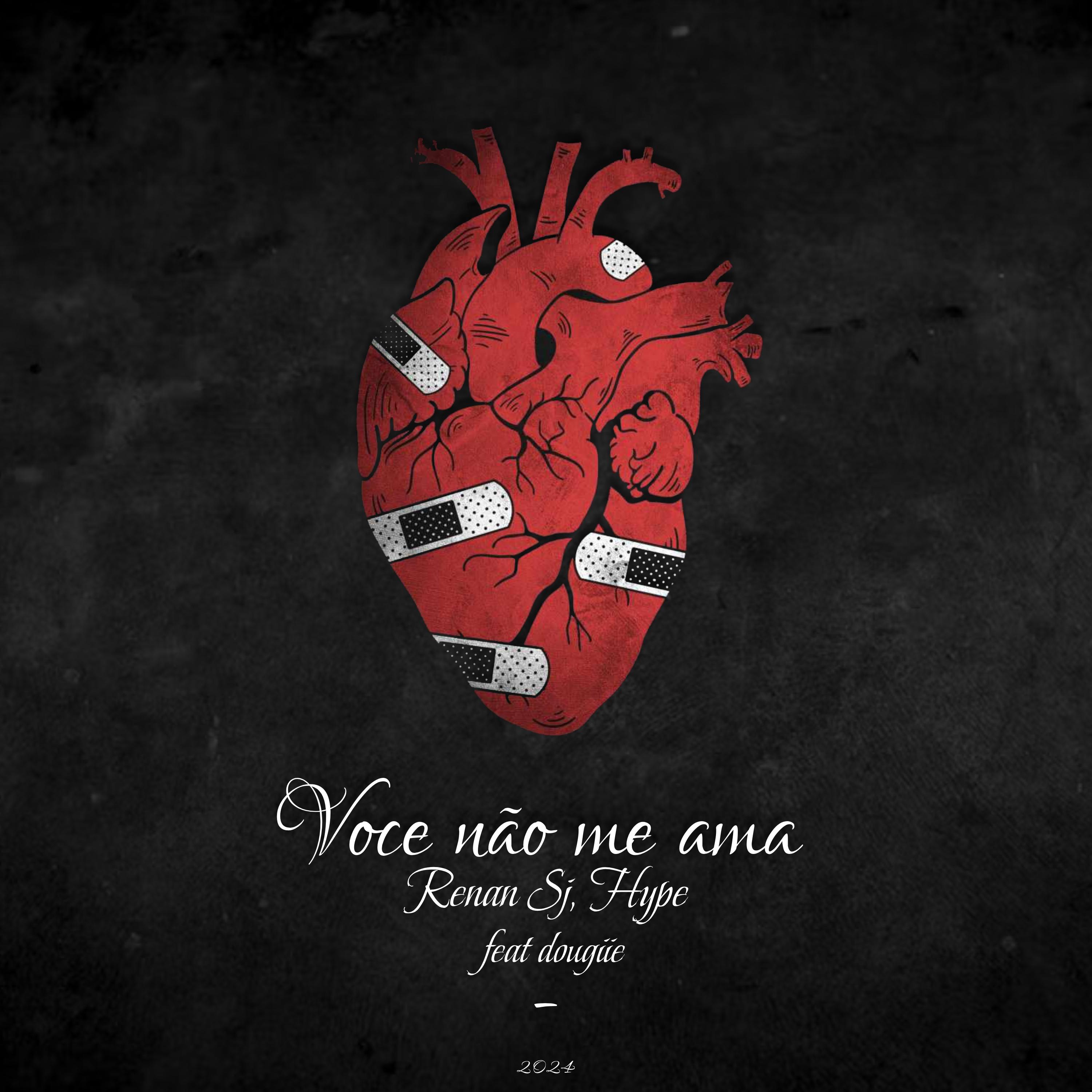 Постер альбома Você Não Me Ama