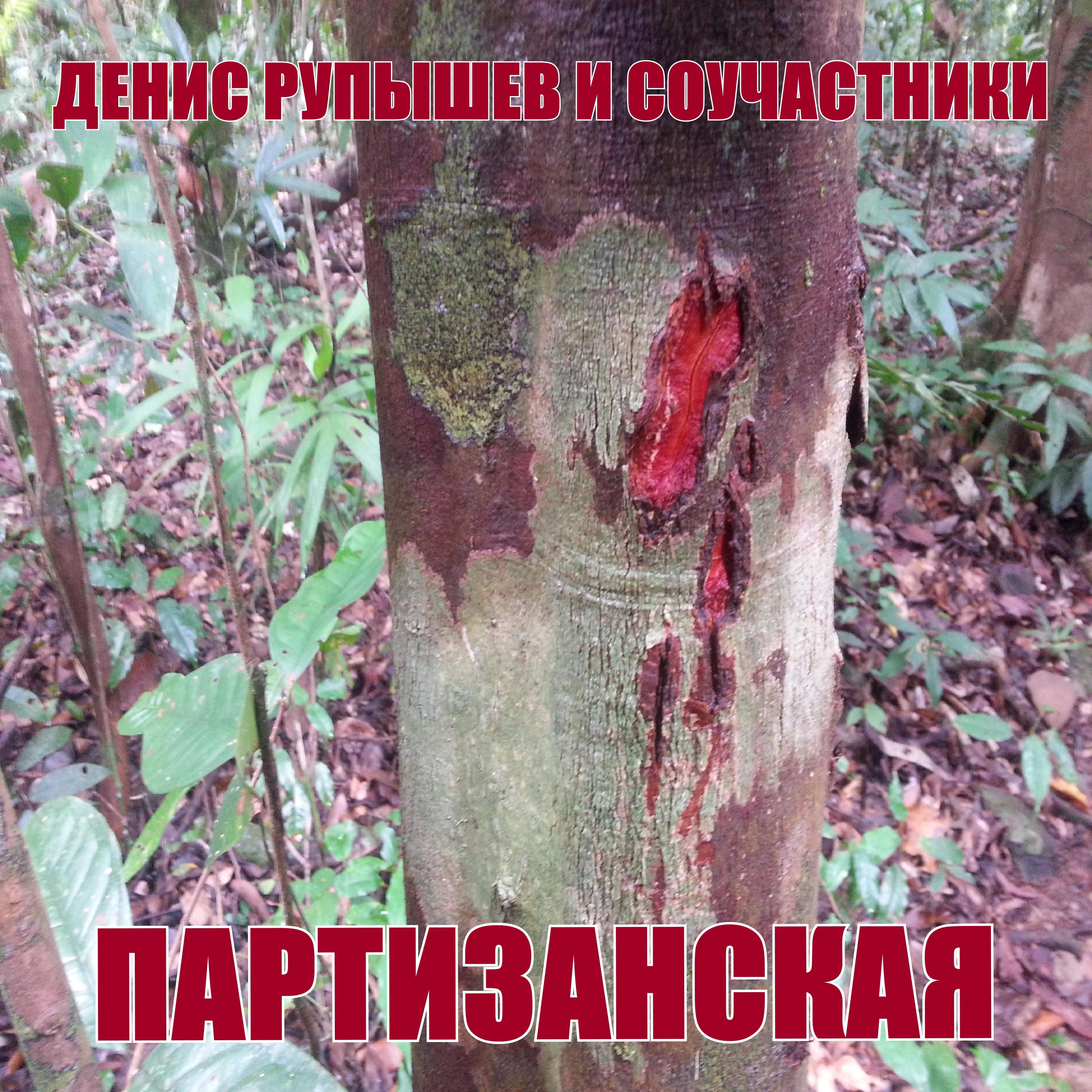Постер альбома Партизанская
