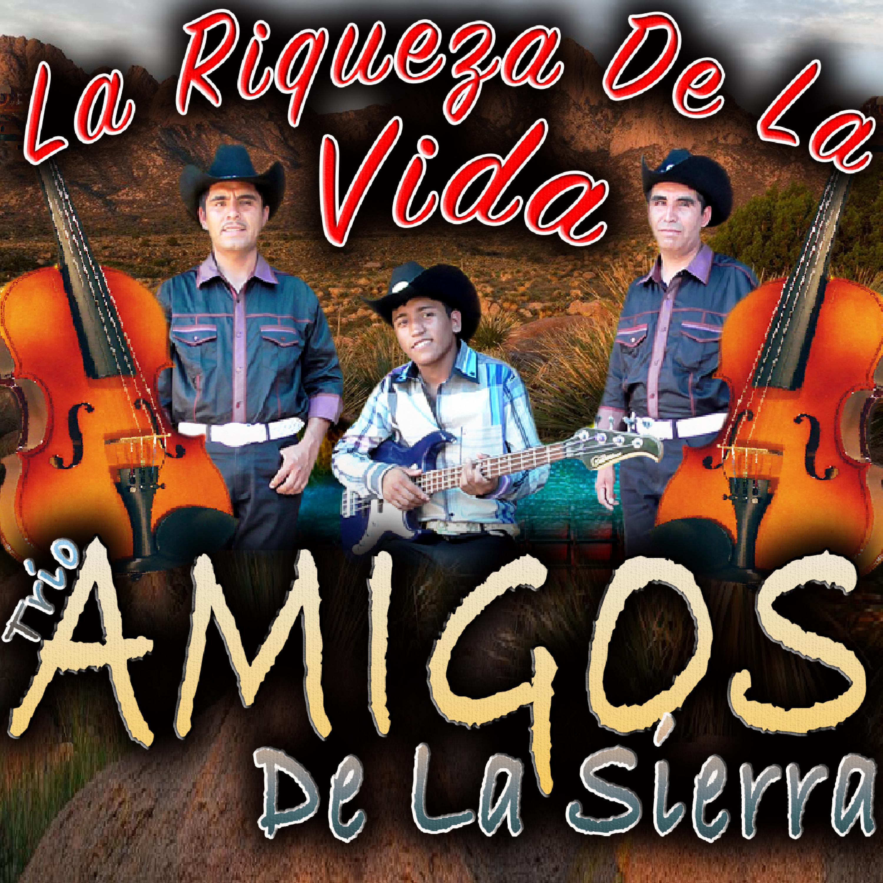 Постер альбома La Riqueza de la Vida