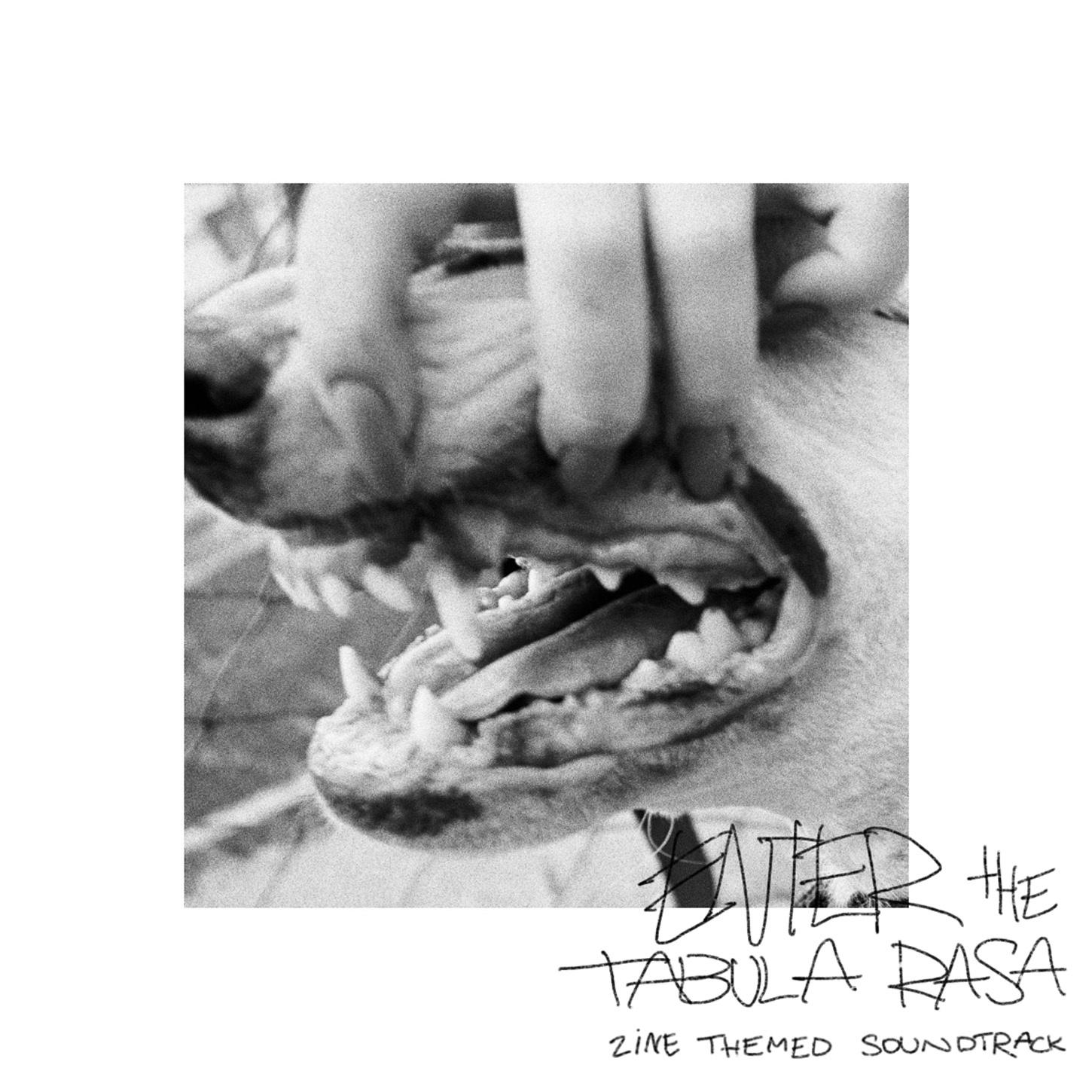 Постер альбома Enter the Tabula Rasa : Zine Themed Soundtrack