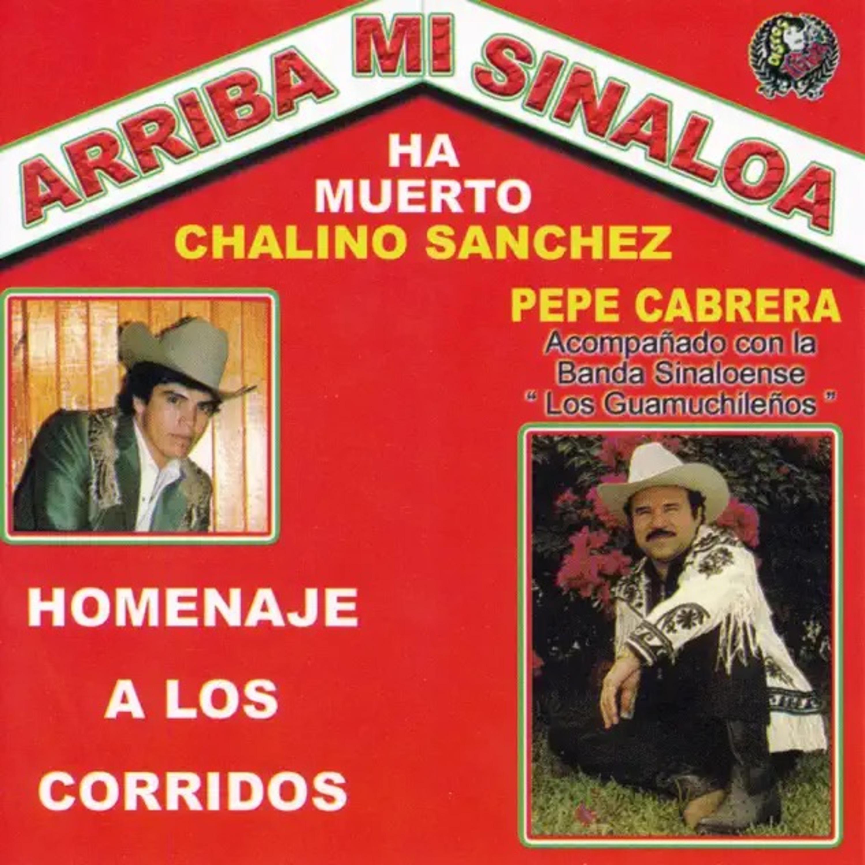Постер альбома Arriba Mi Sinaloa