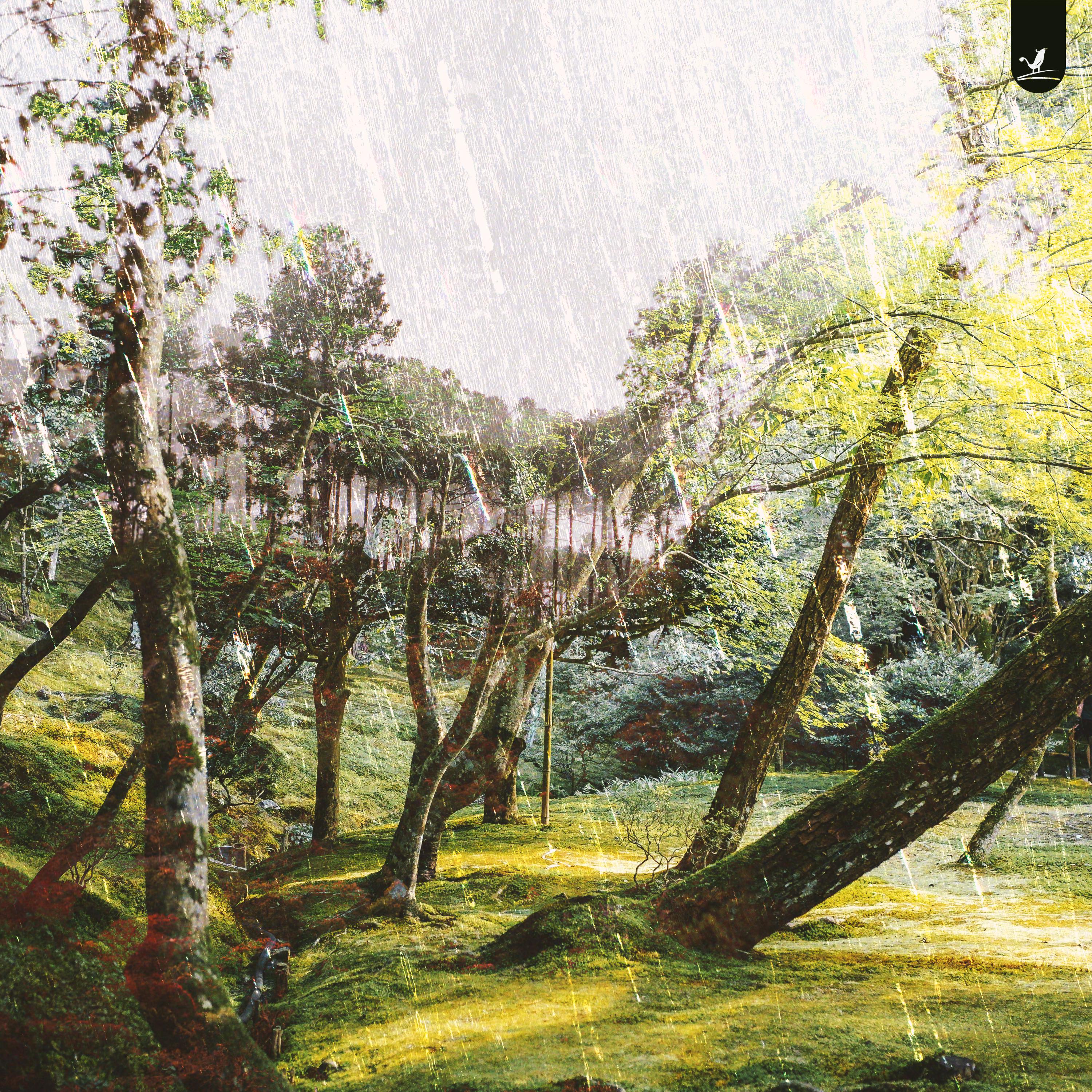 Постер альбома Sudden Rain