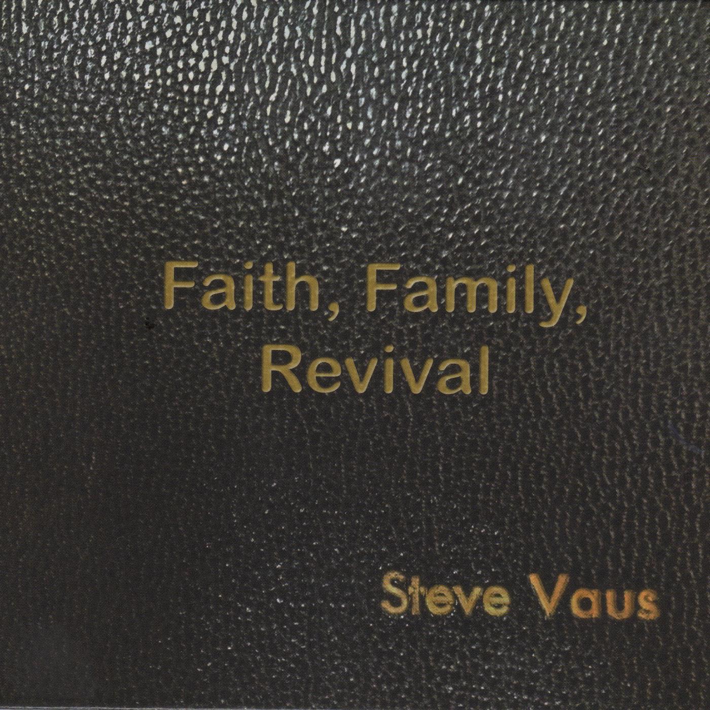 Steve Vaus - Surrounded by Angels