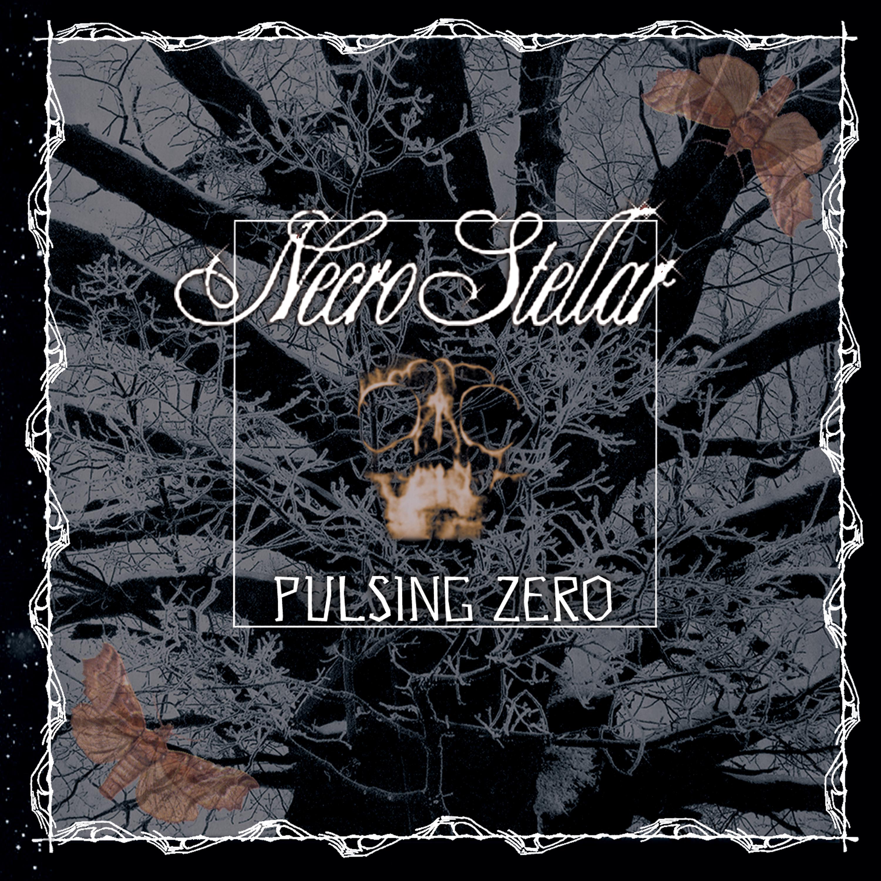 Постер альбома Pulsing Zero