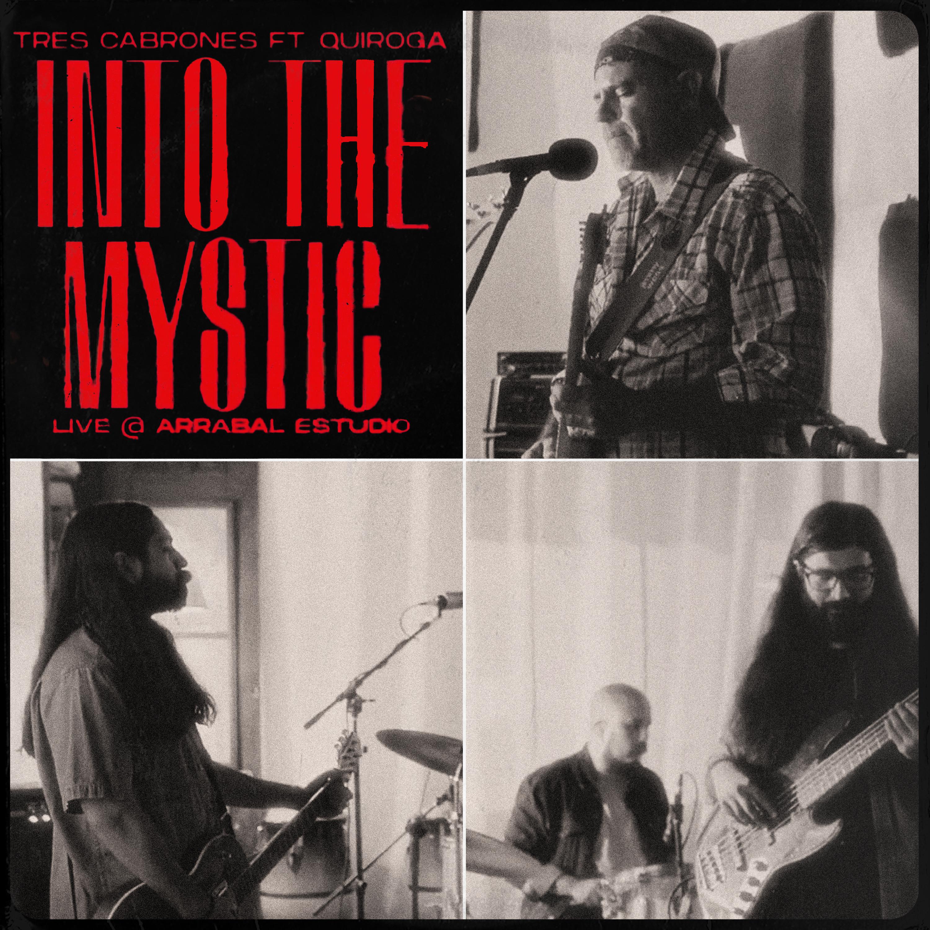 Постер альбома Into the Mystic