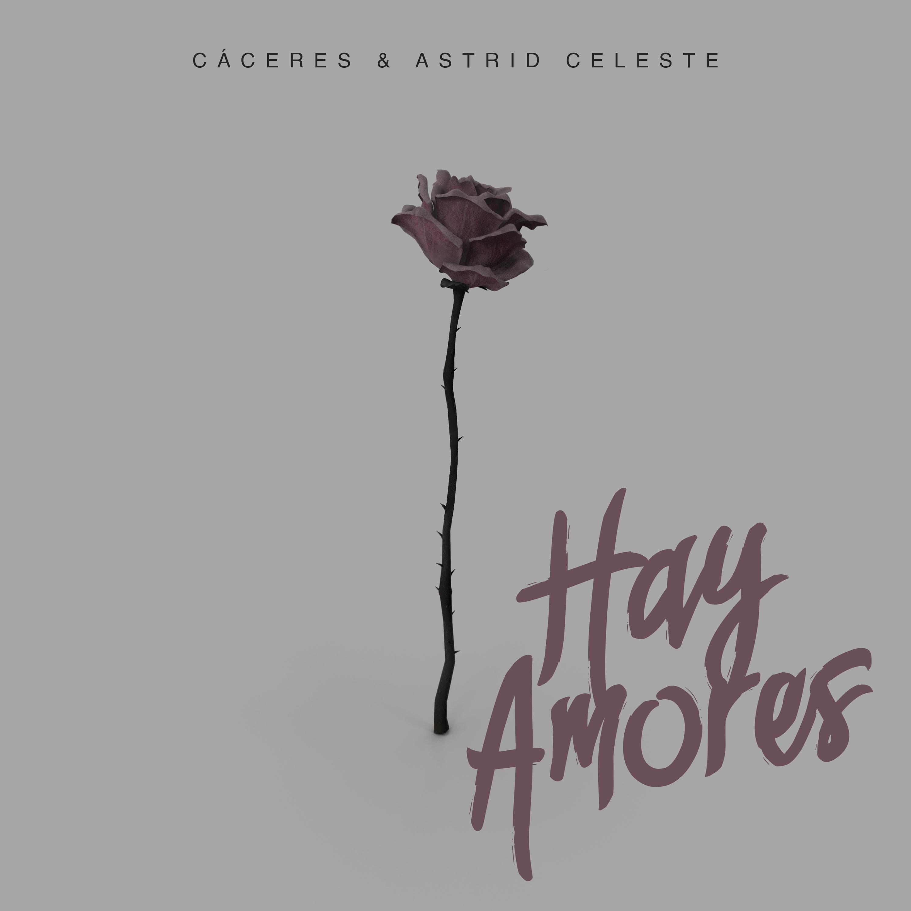 Постер альбома Hay Amores