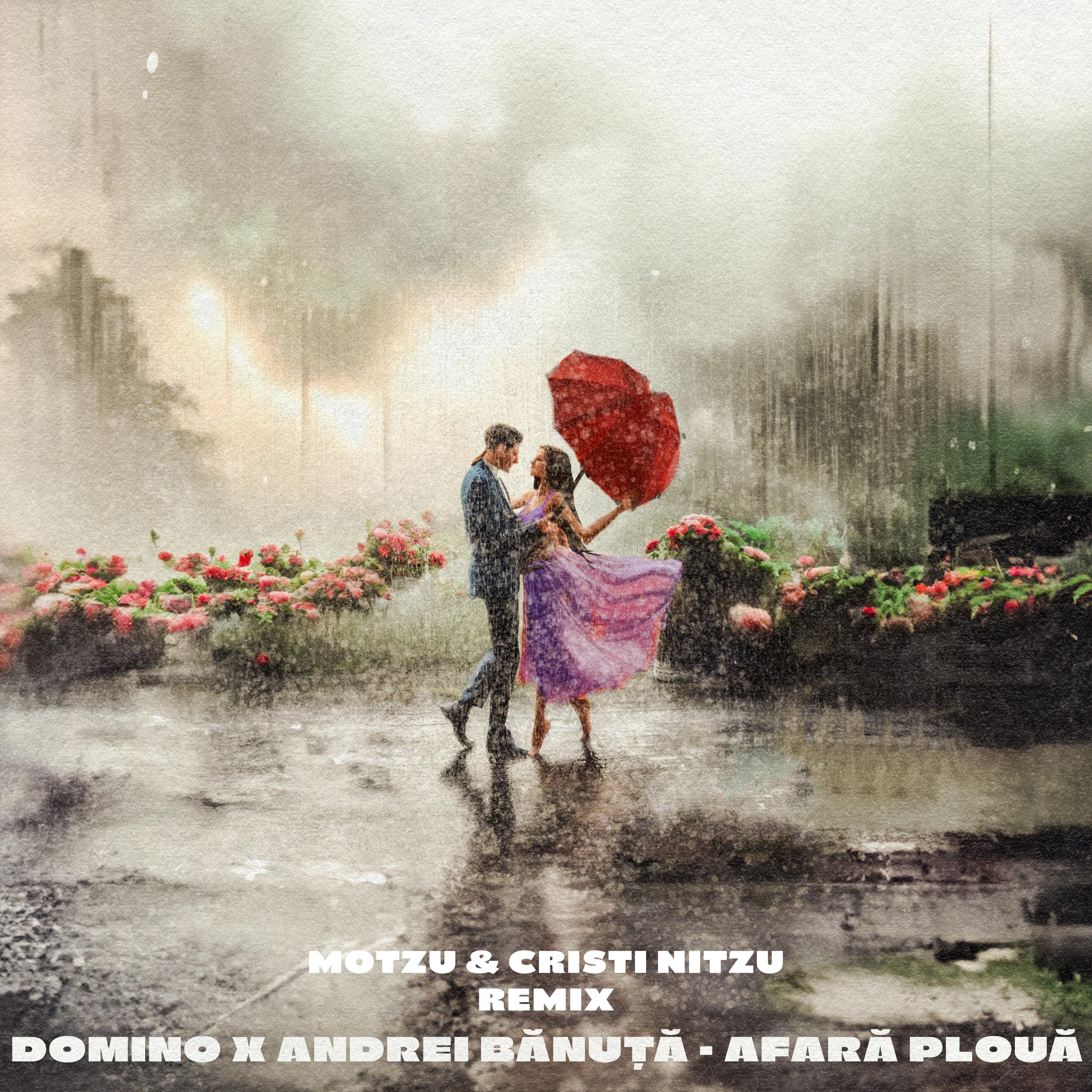 Постер альбома Afară plouă