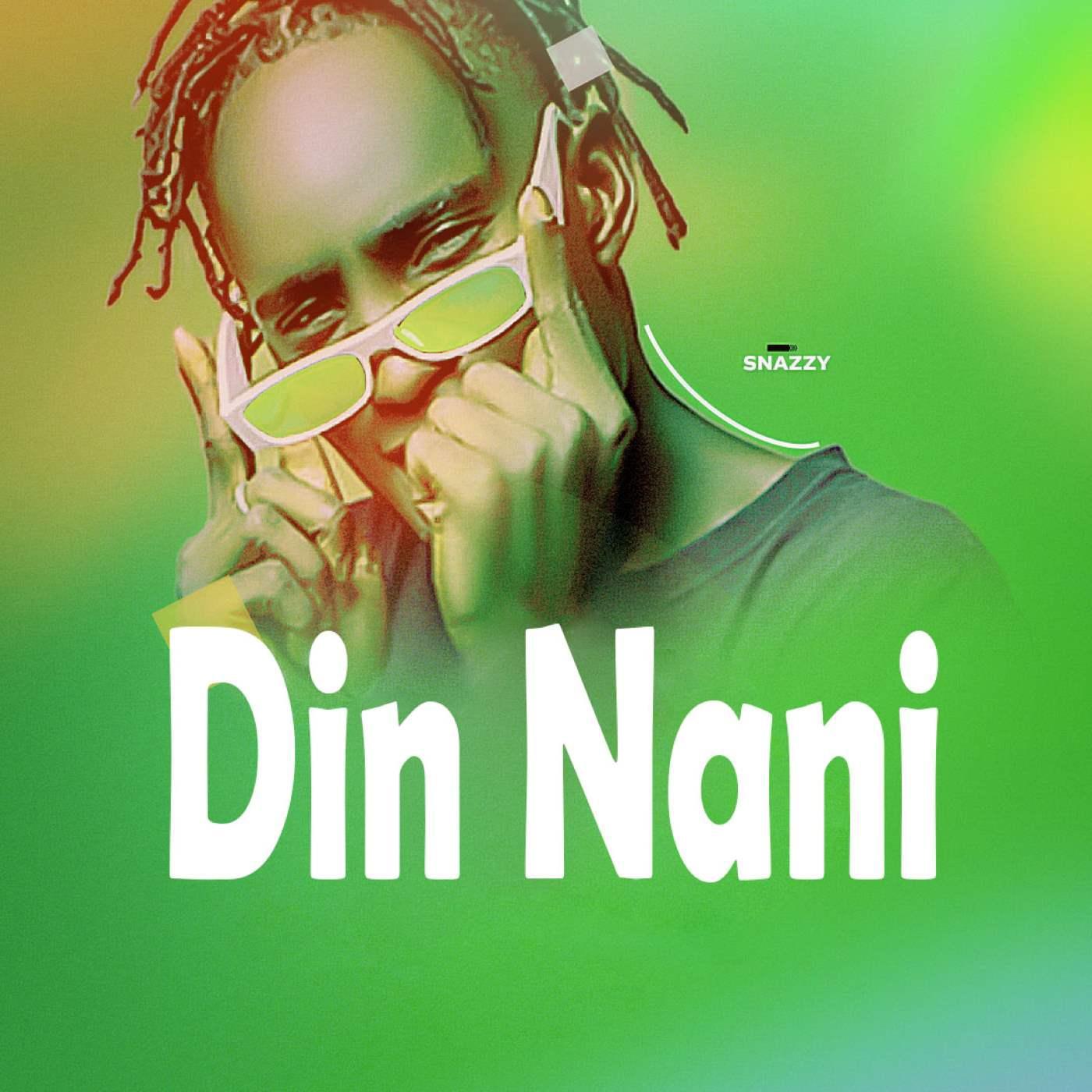 Постер альбома Din Nani