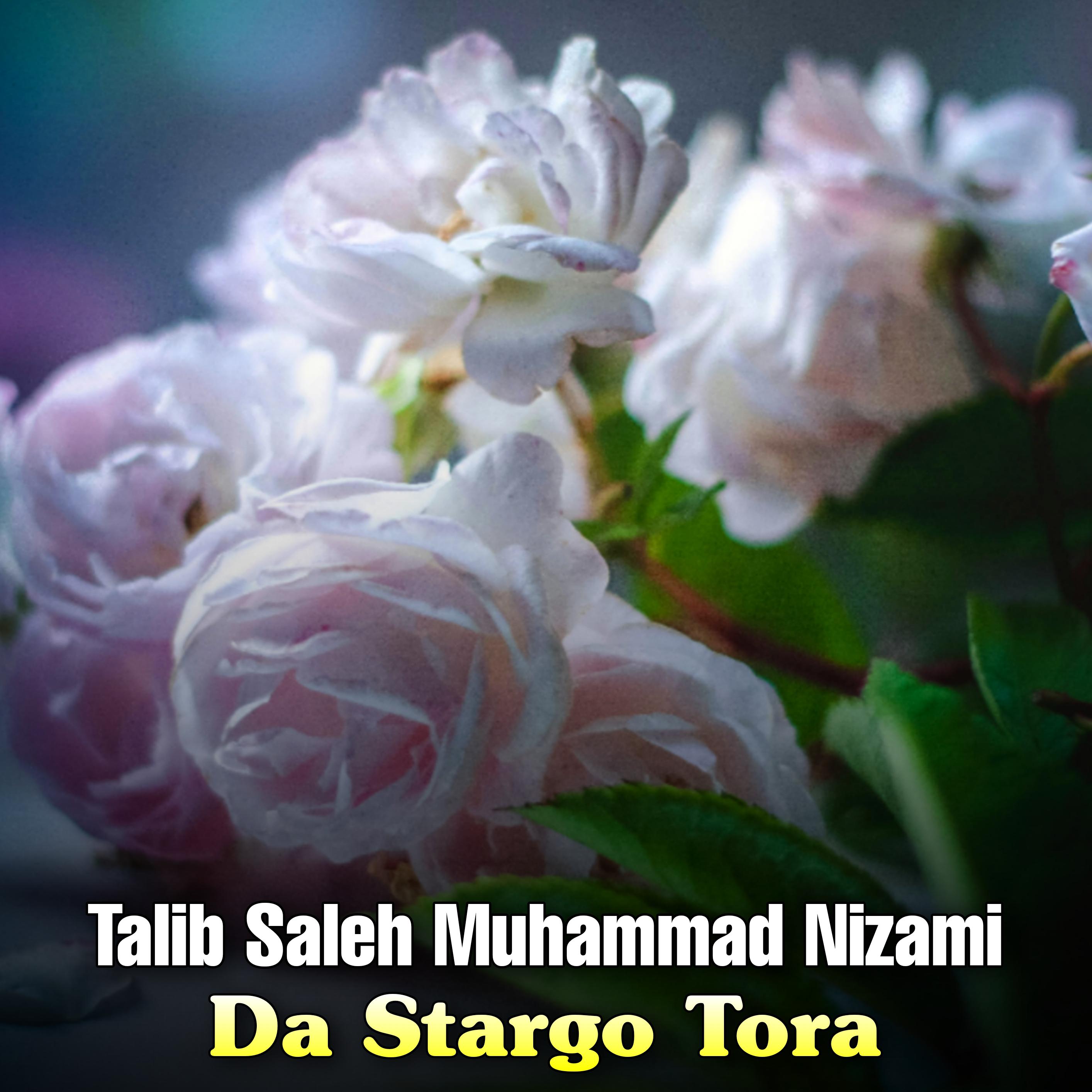 Постер альбома Da Stargo Tora