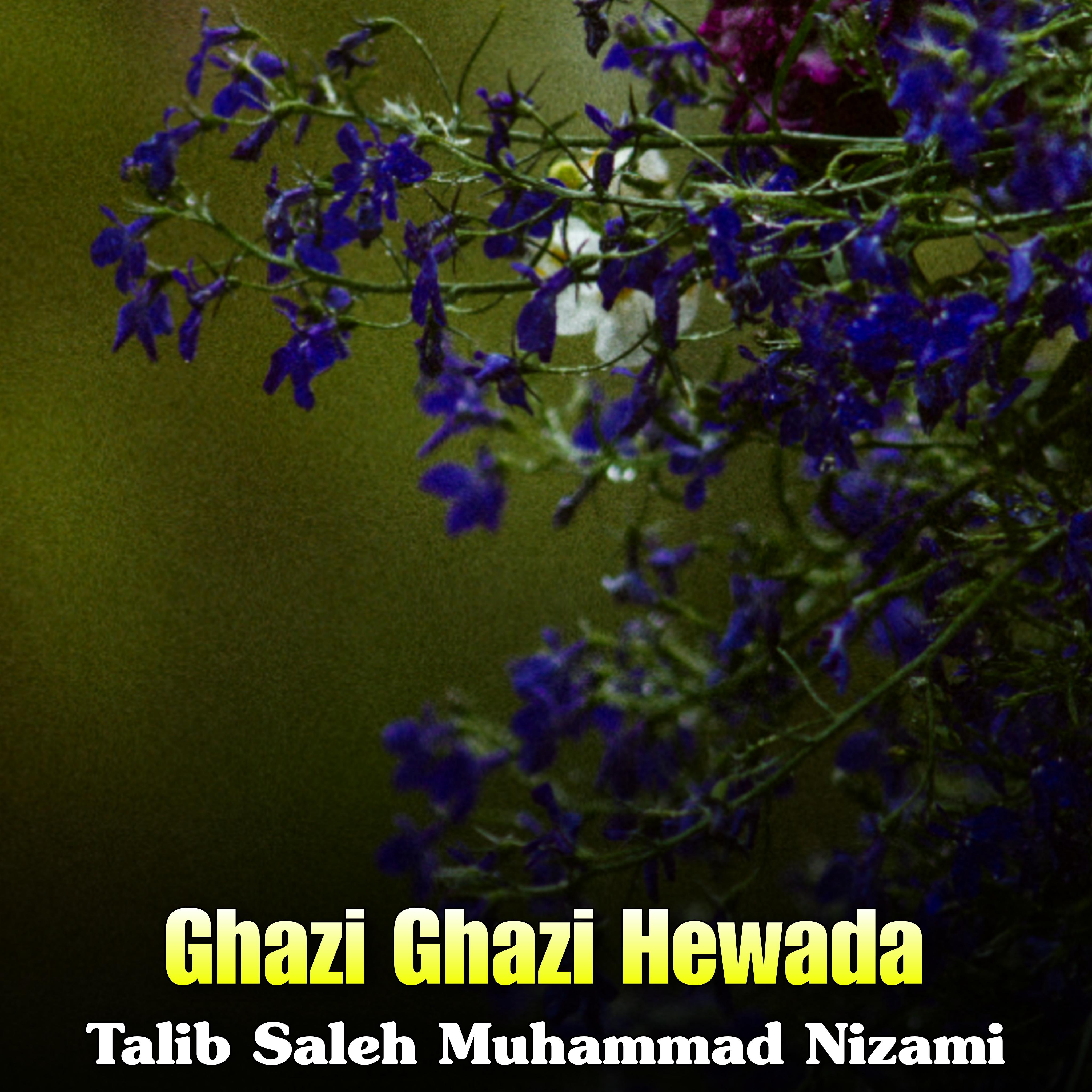 Постер альбома Ghazi Ghazi Hewada