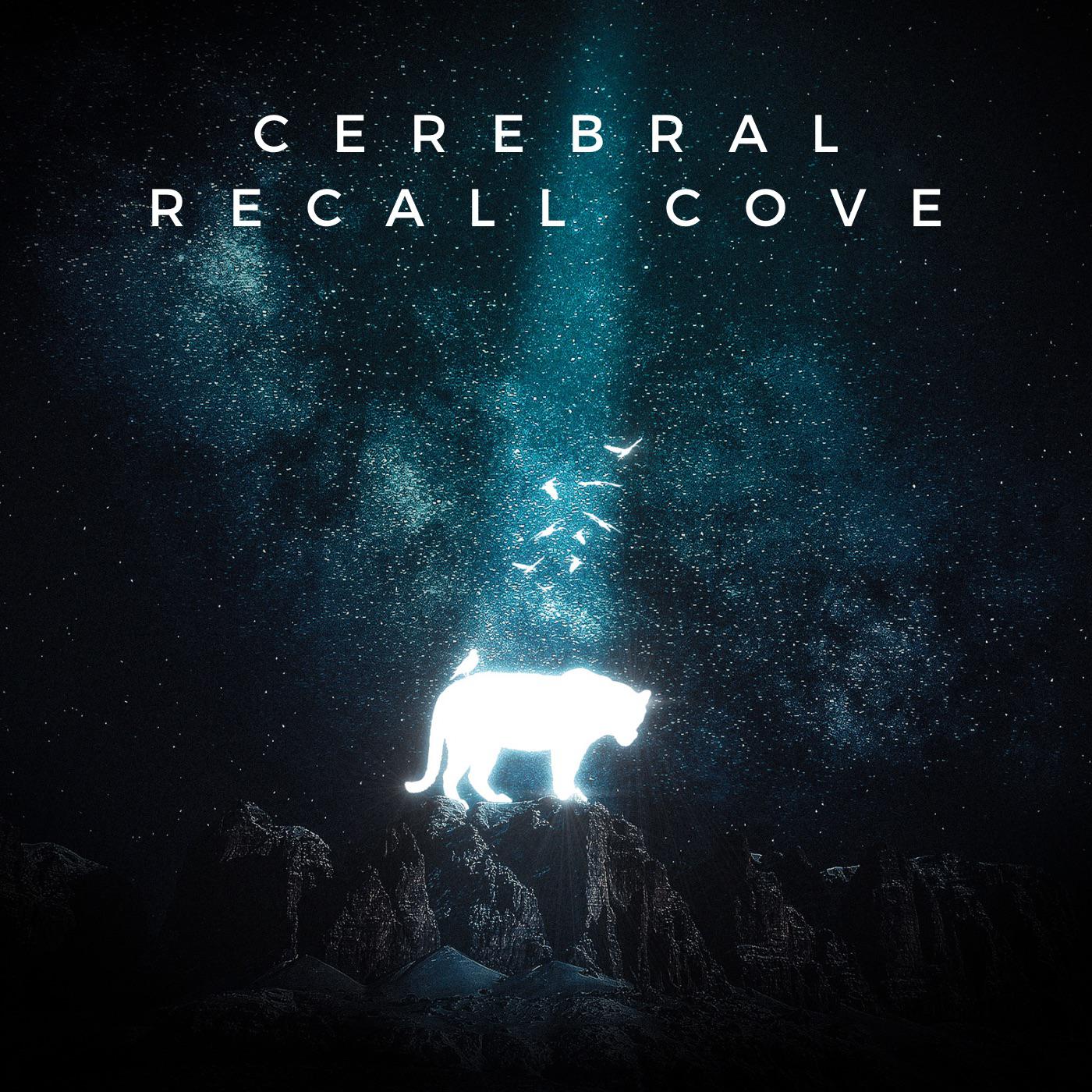 Постер альбома Cerebral Recall cove