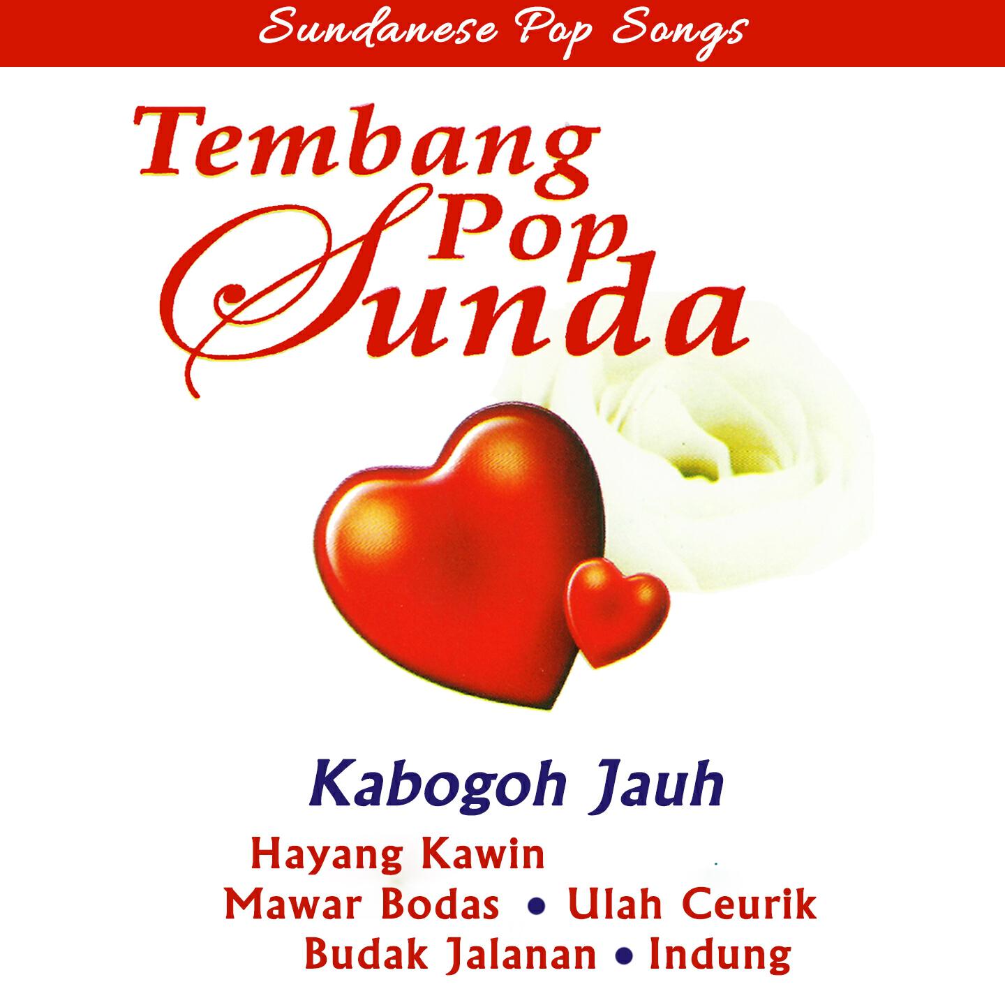 IKA - Mawar Bodas