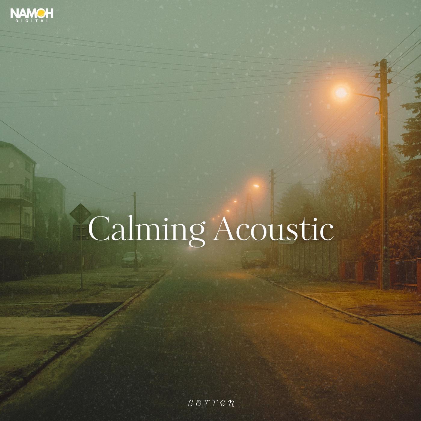 Постер альбома Calming Acoustic