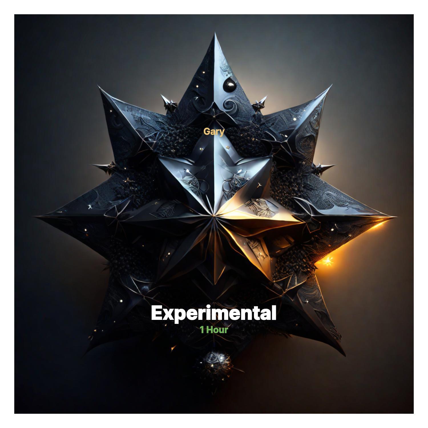 Постер альбома Experimental 2024 by Gary Hsu (feat. Gary)